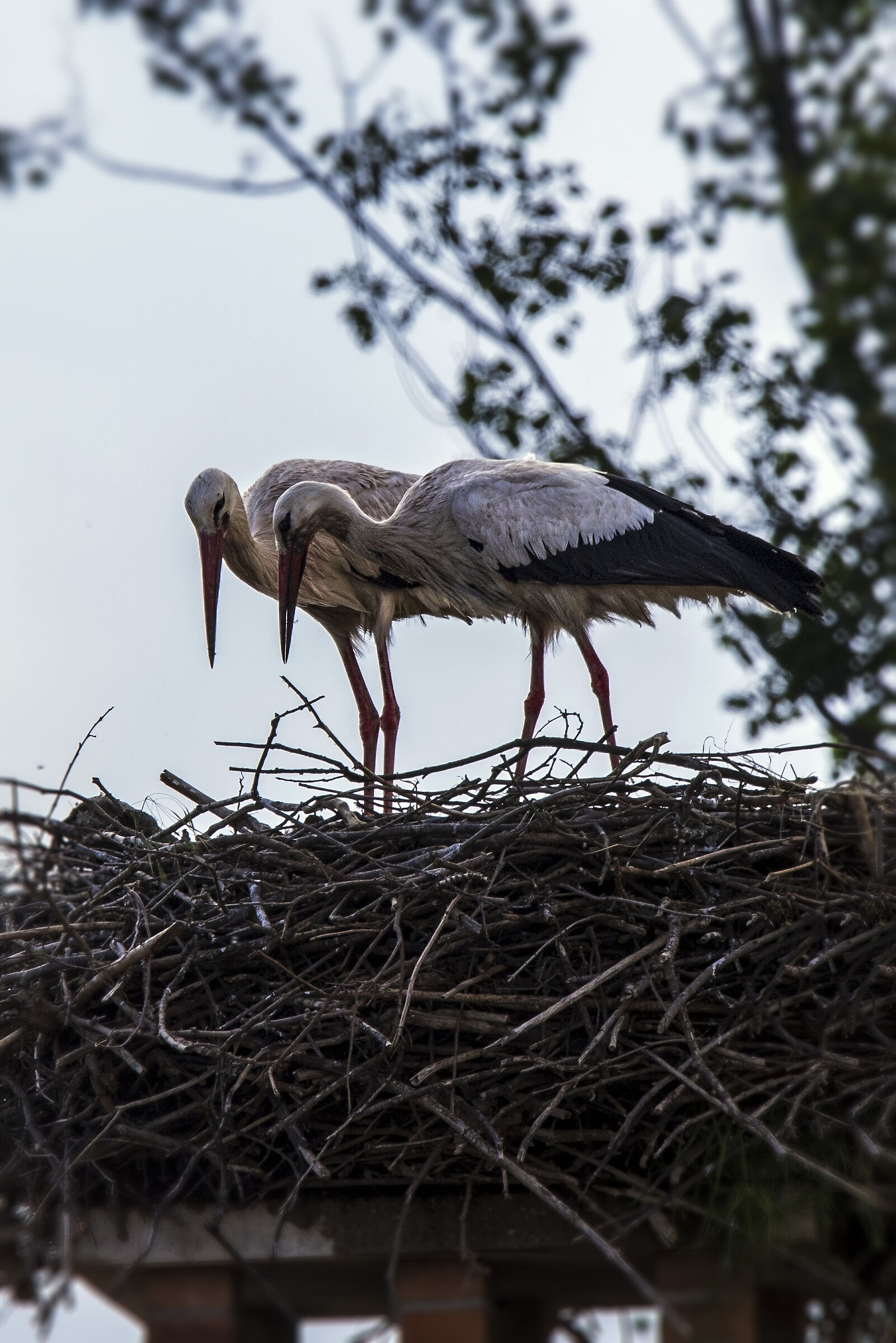 Chiaramente lui ha sbagliato qualcosa...
