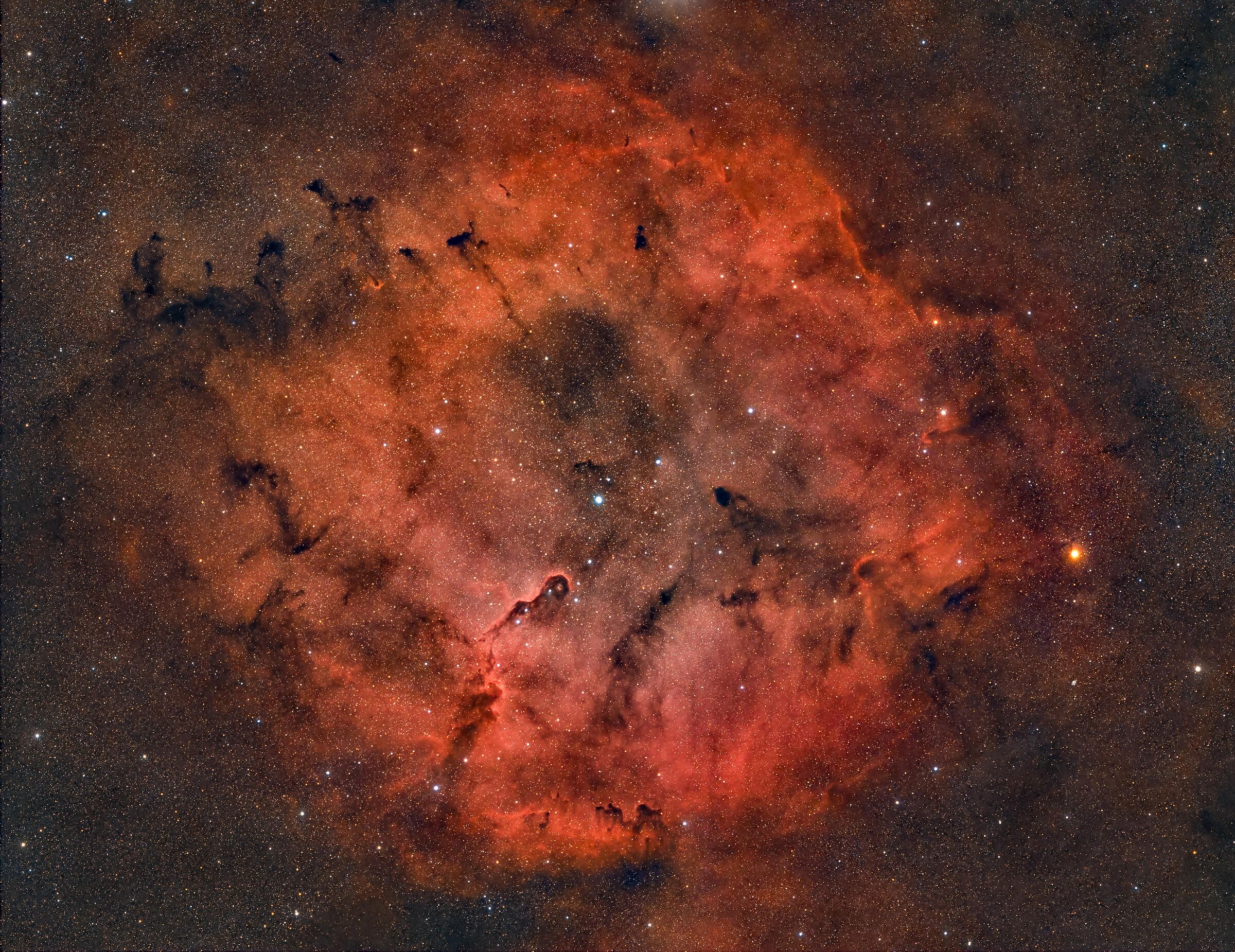 Nebular complex IC1396