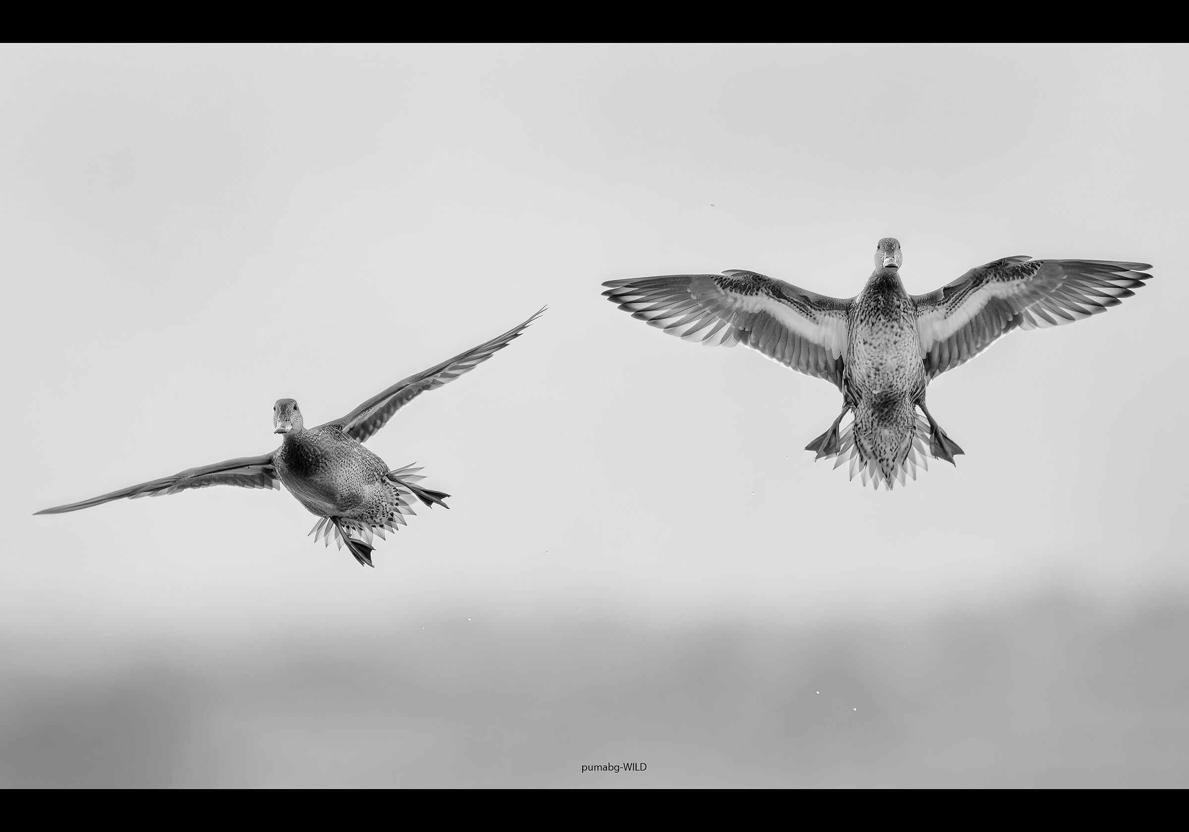 Untitled Photo