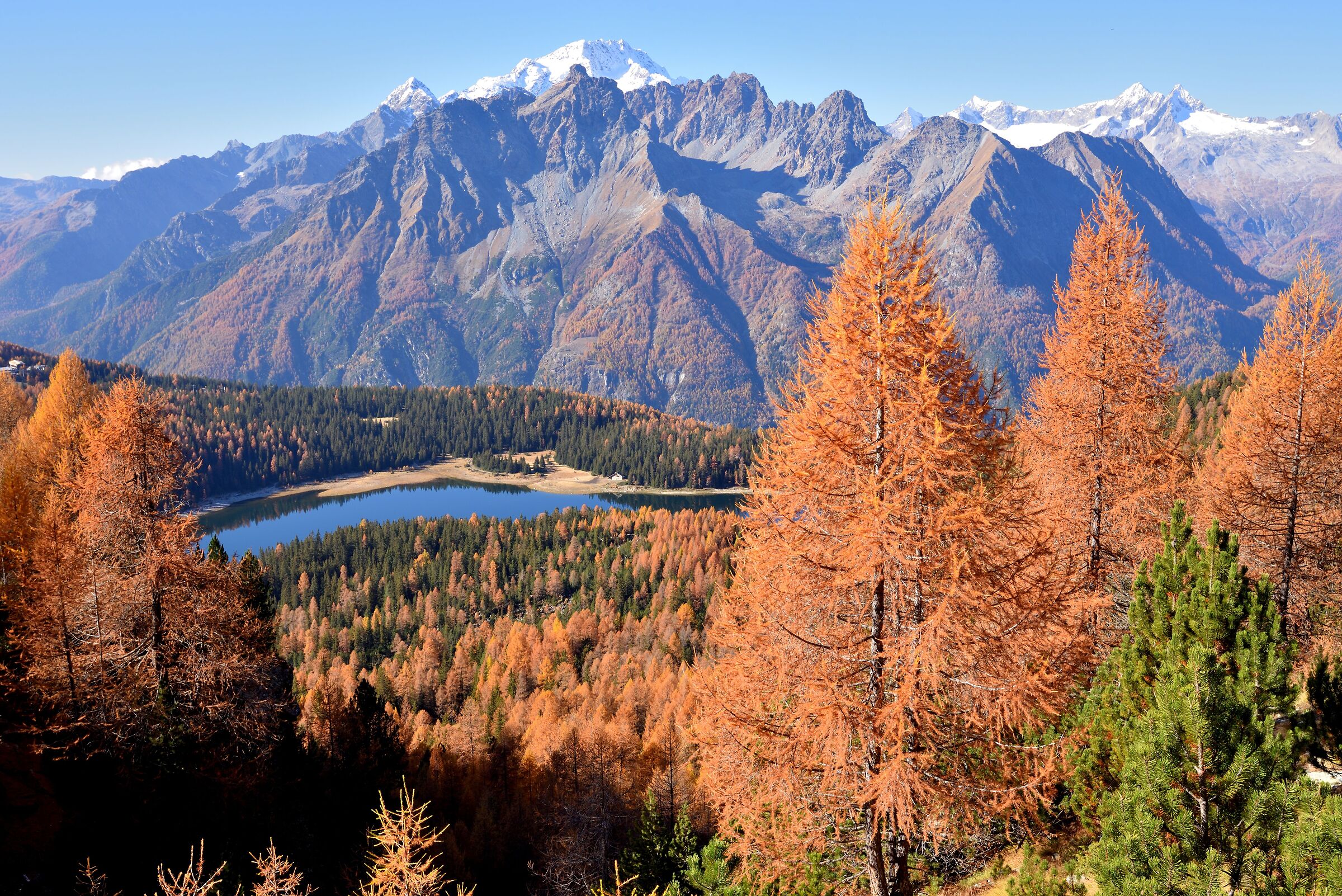 Lake Palù in the background the Disgrace