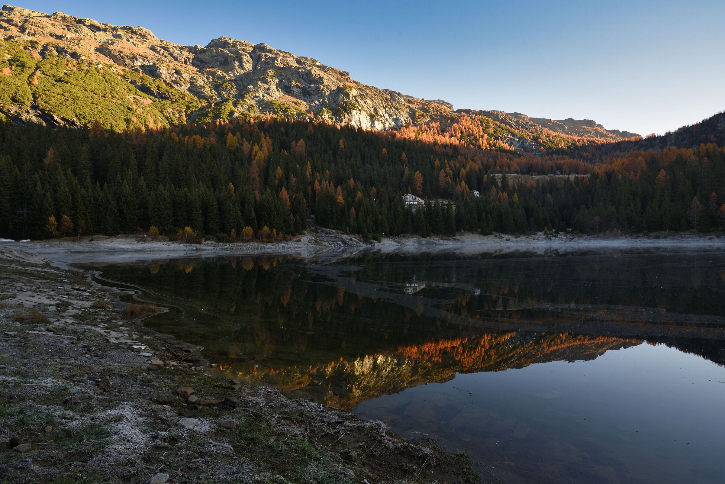 Autumn Reflections