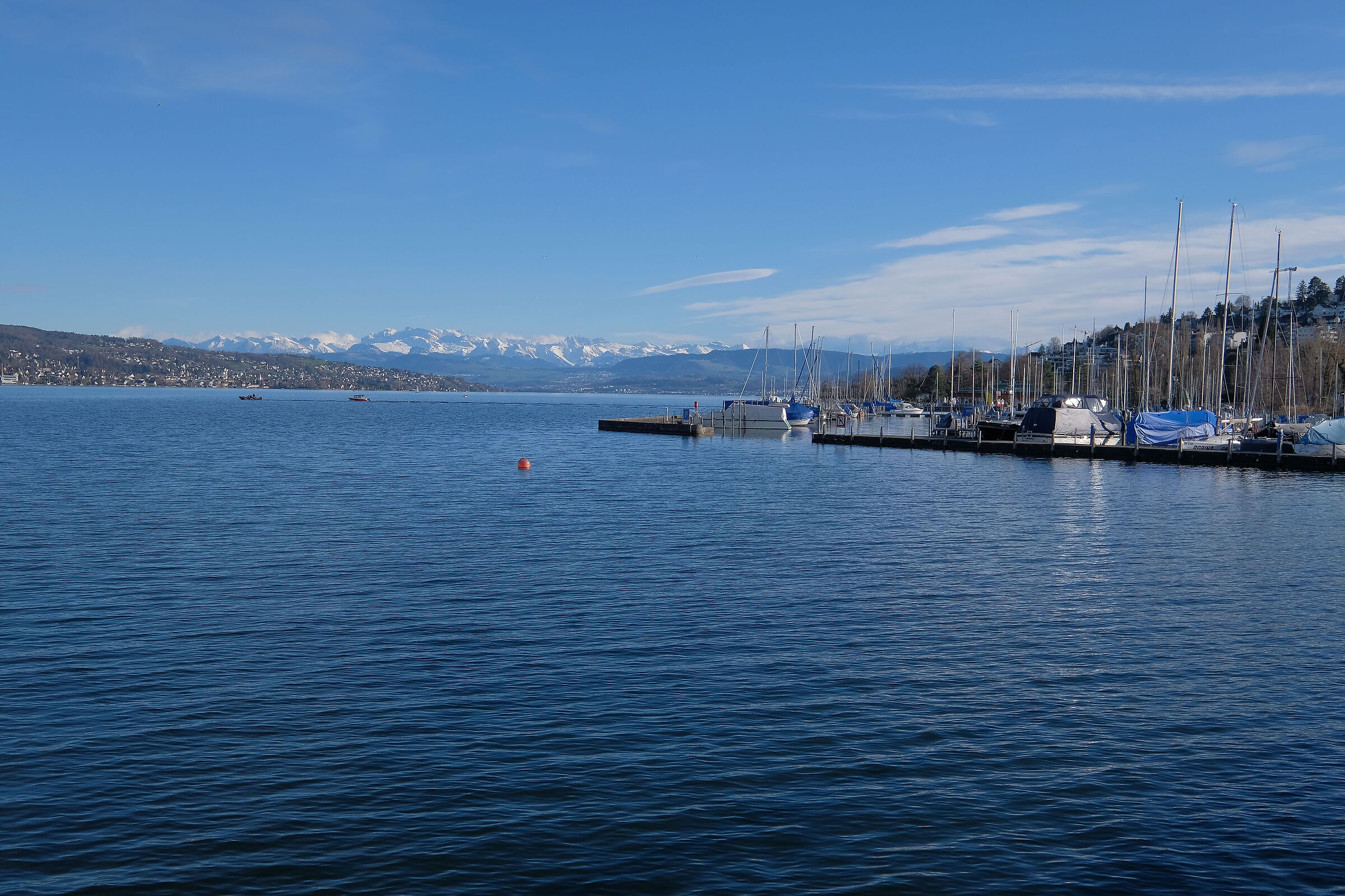 Lake Zurich