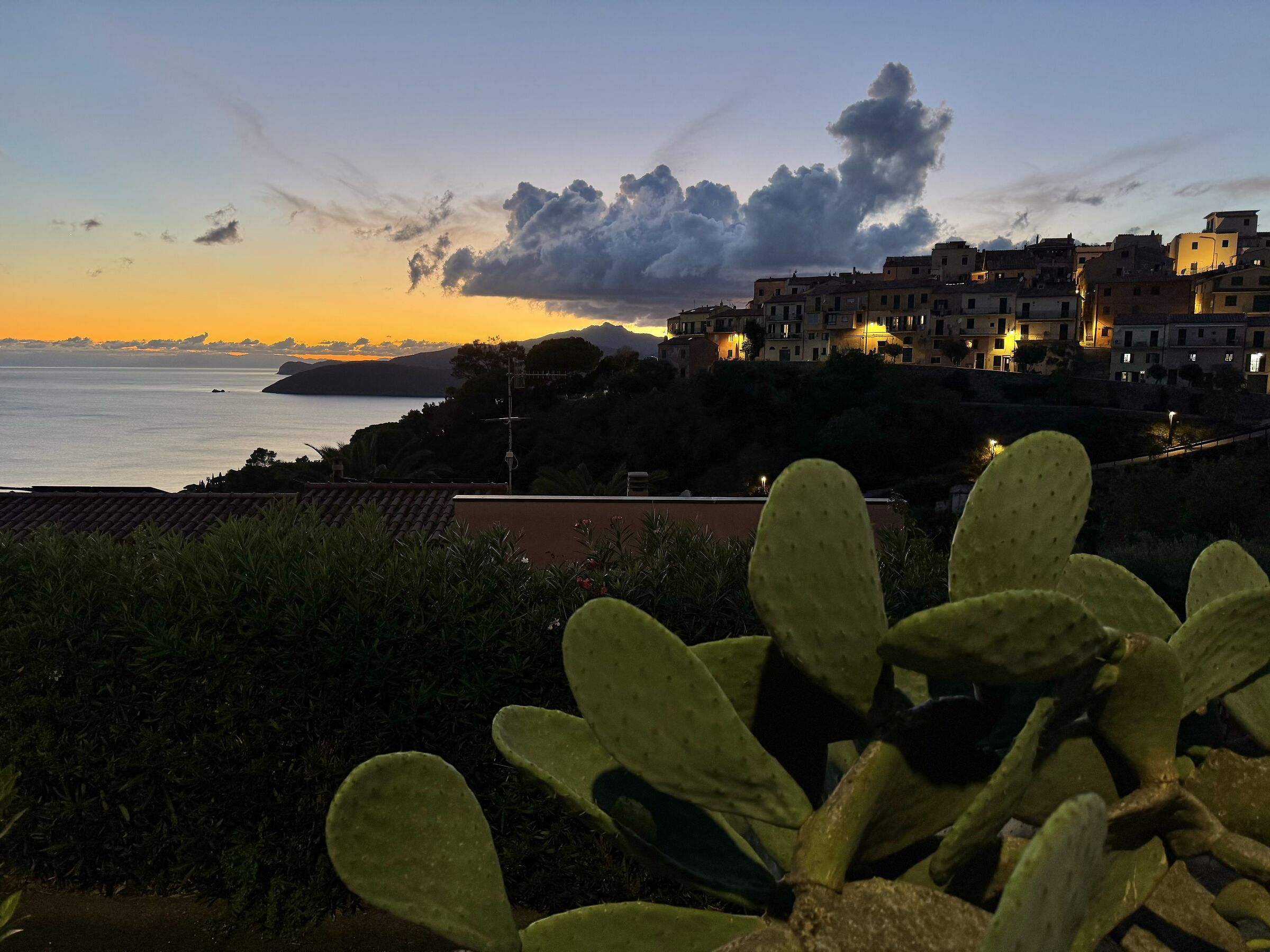 Capoliveri