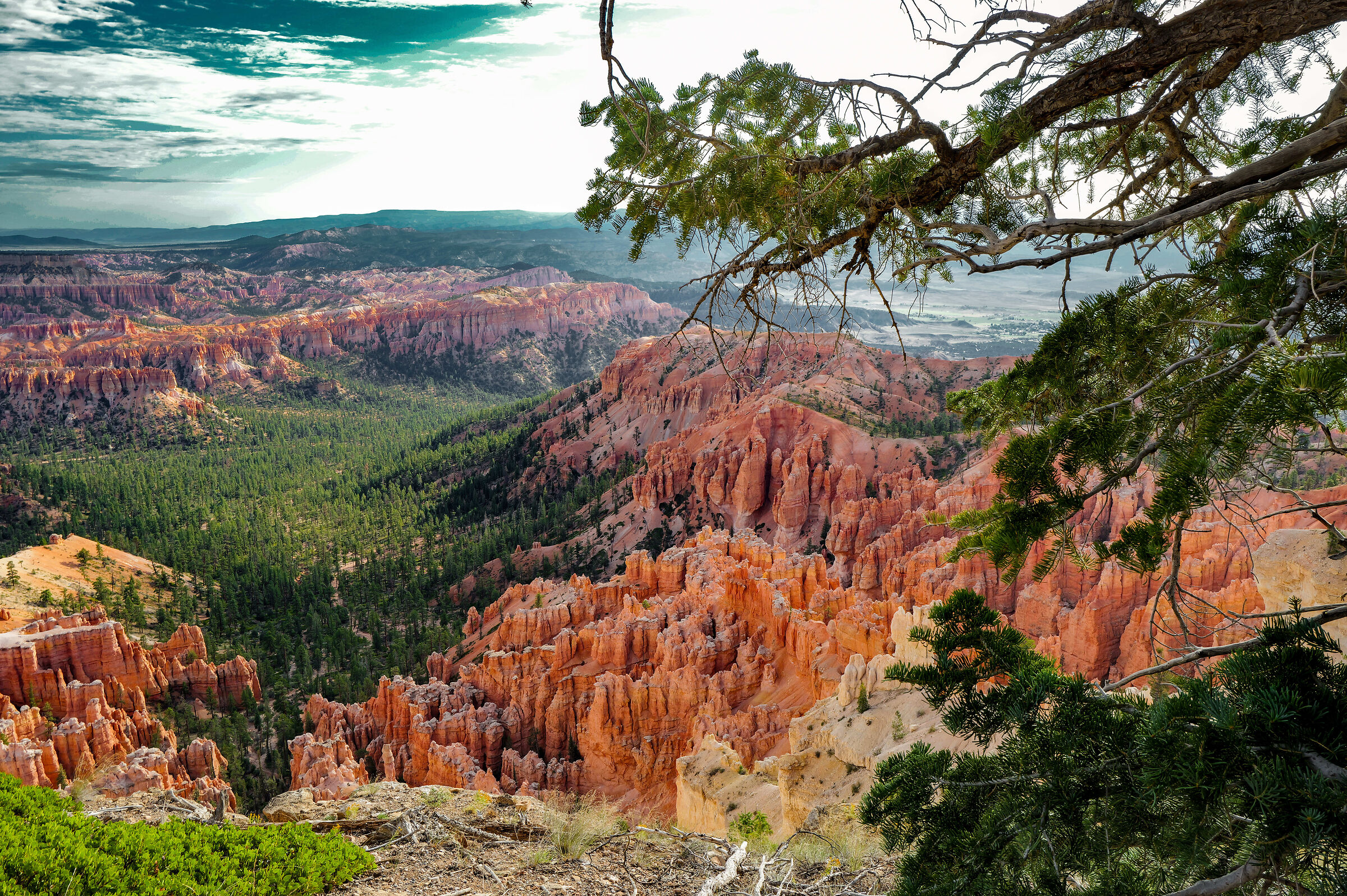 Bryce Canyon
