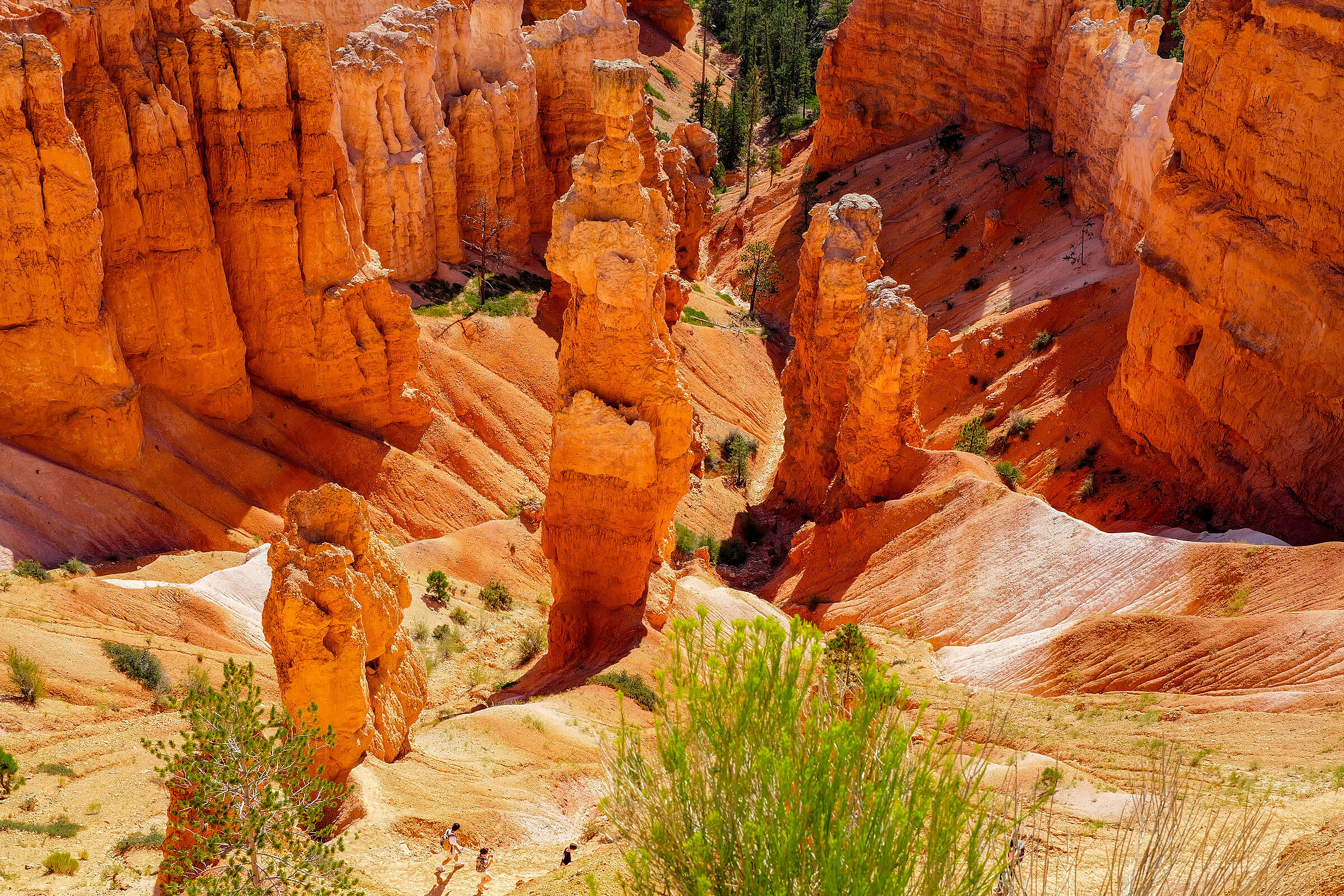 Bryce Canyon