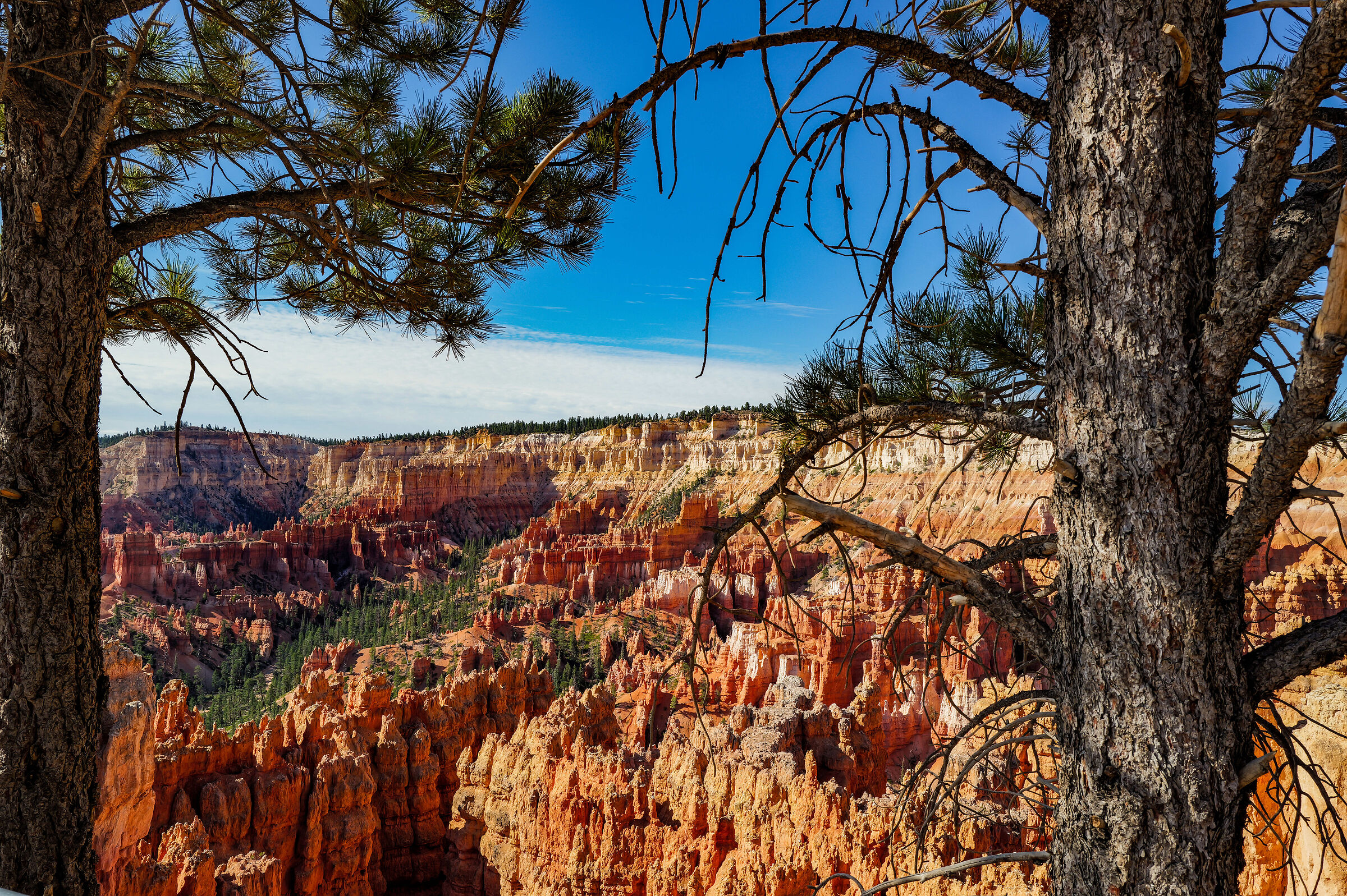 Bryce Canyon