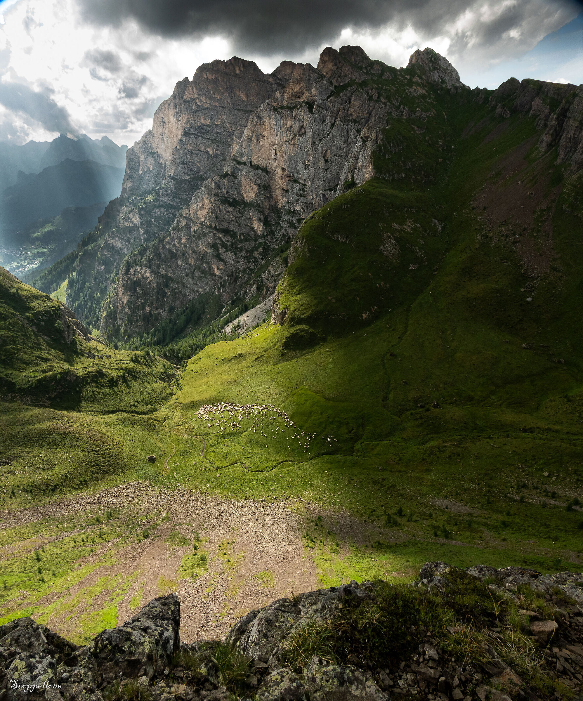 MONTE CERNERA AND ITS VALLEY WITH A FLOCK OF SHEEP.