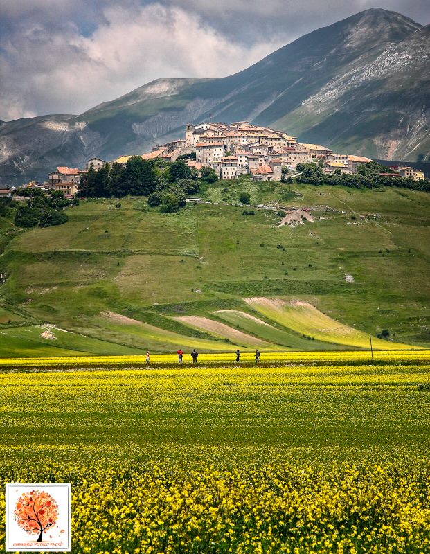 castelluccio