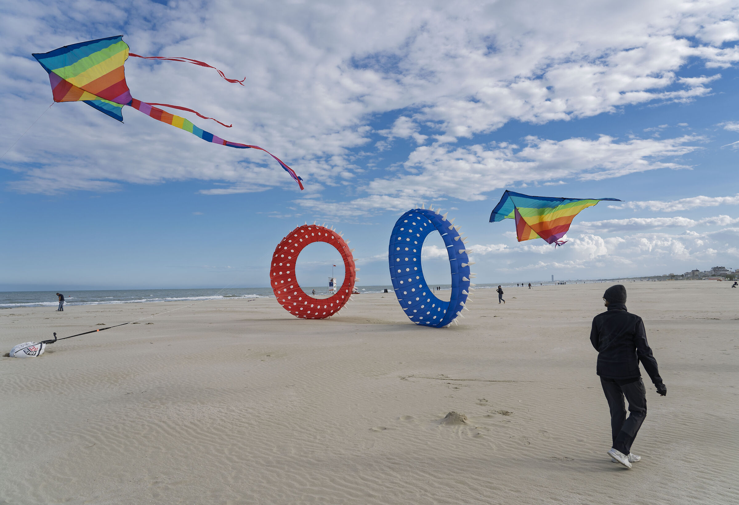 Kite enthusiast