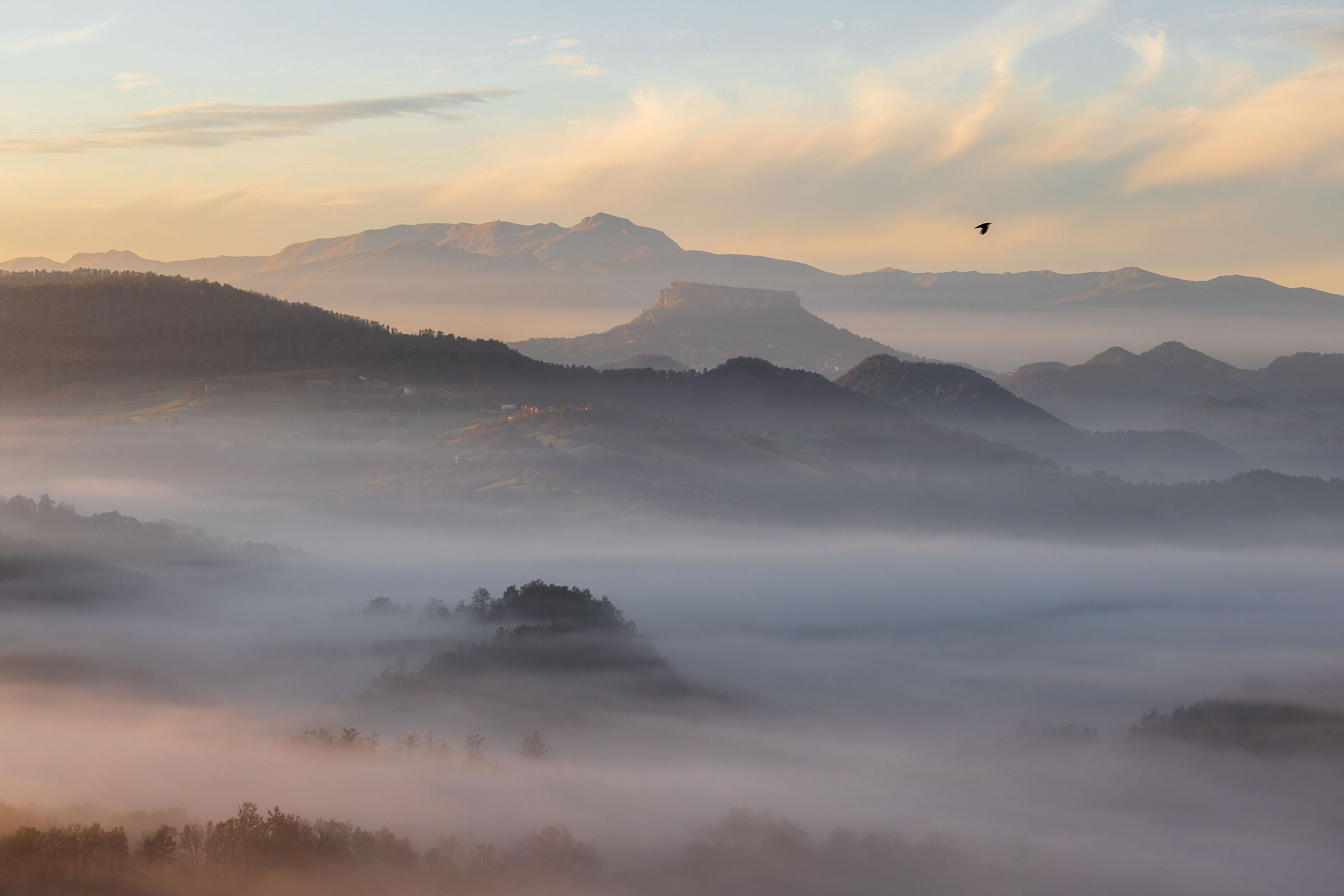 Mist, Stone and Cusna