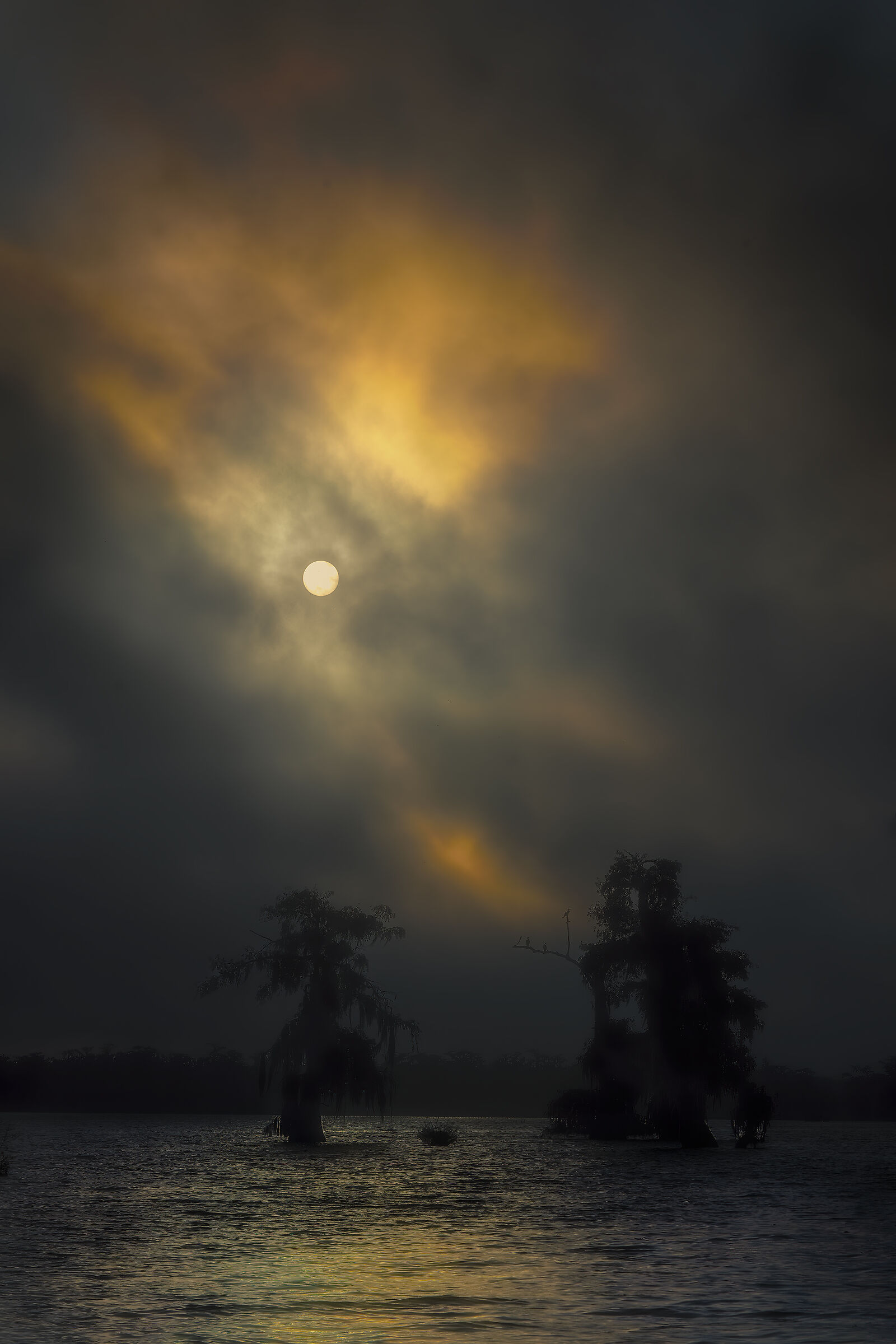 sunrise Atchafalaya basin USA
