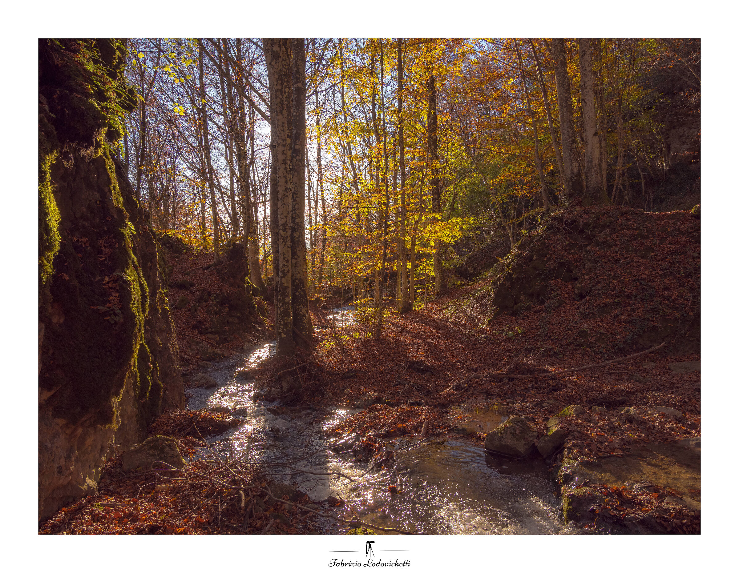 The Tiber at its birth