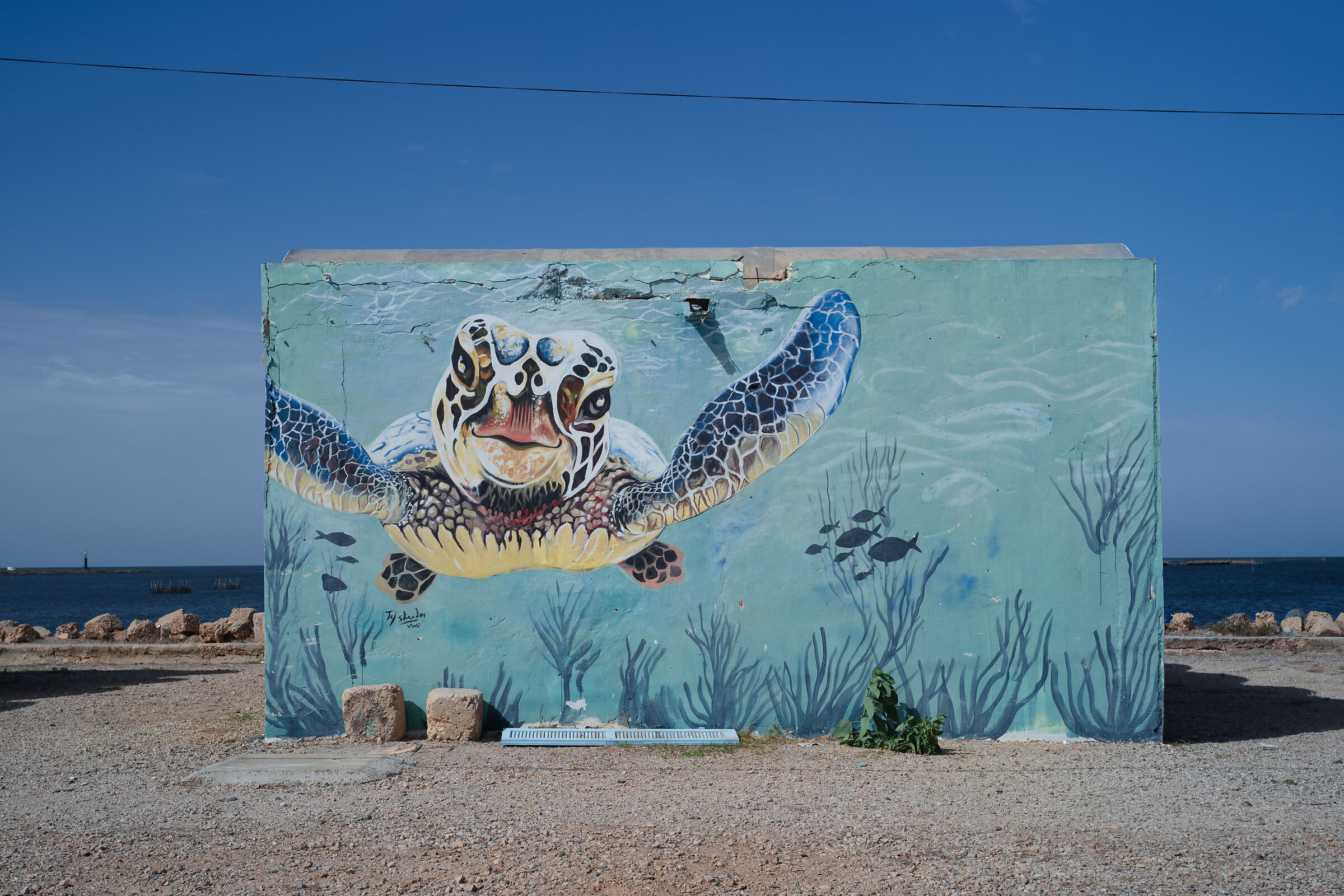 Murals