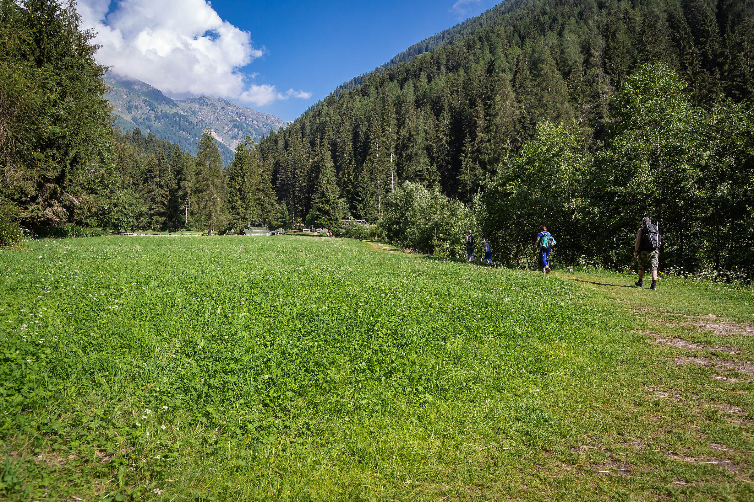 Walking in the Val di Rabbi