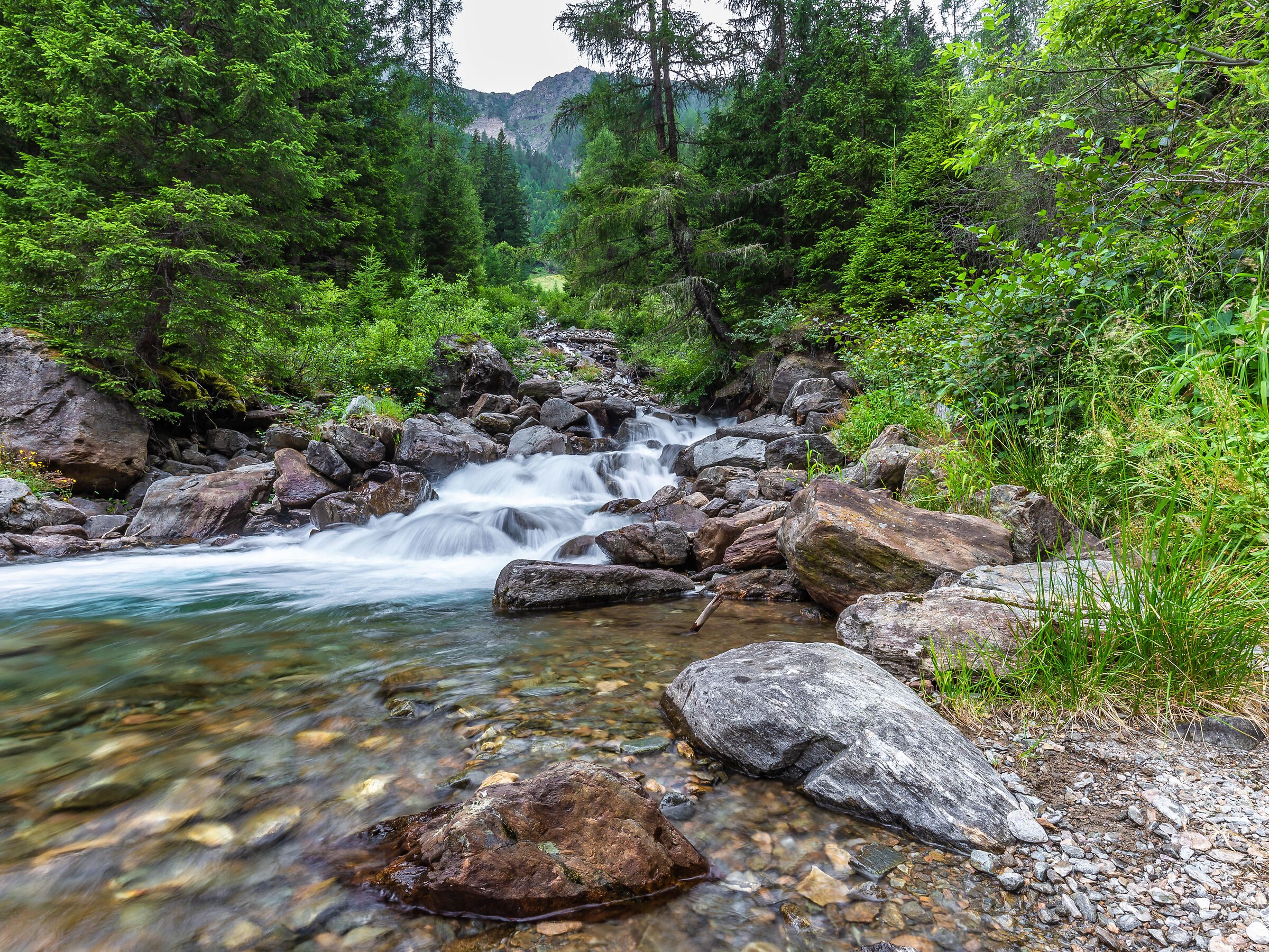 Ruscello in Val di Rabbi