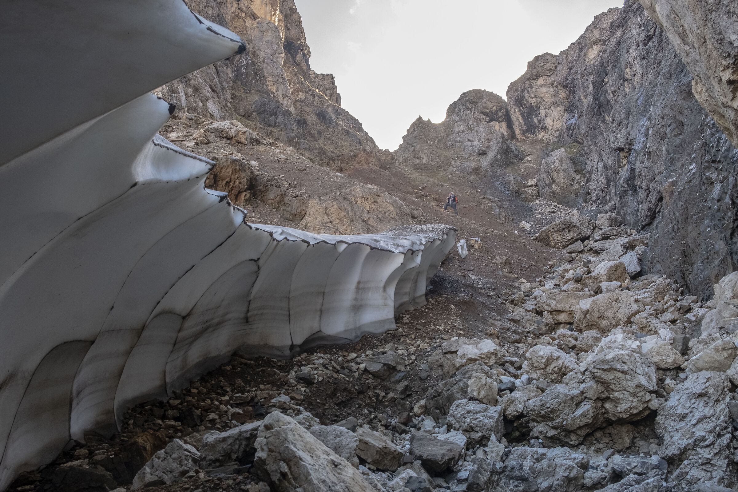 The last frozen snowfield