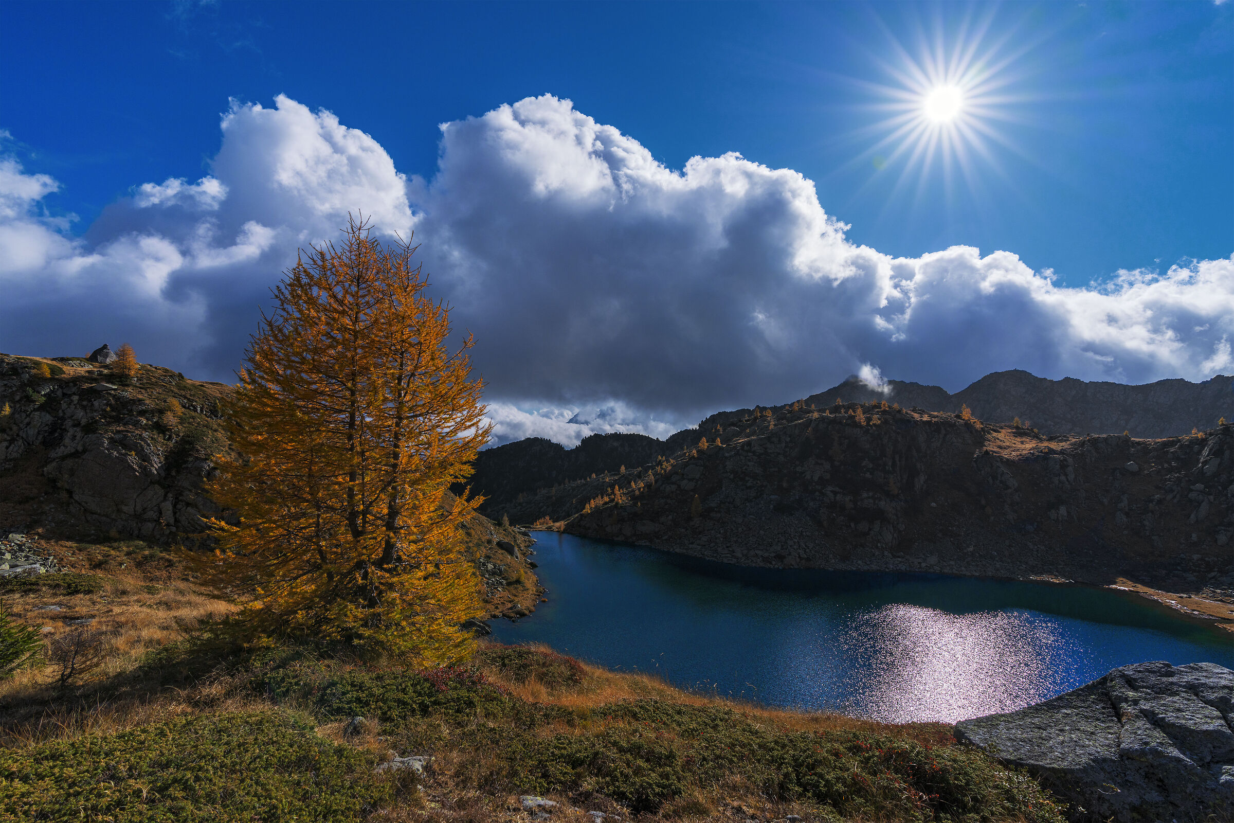 Autumn