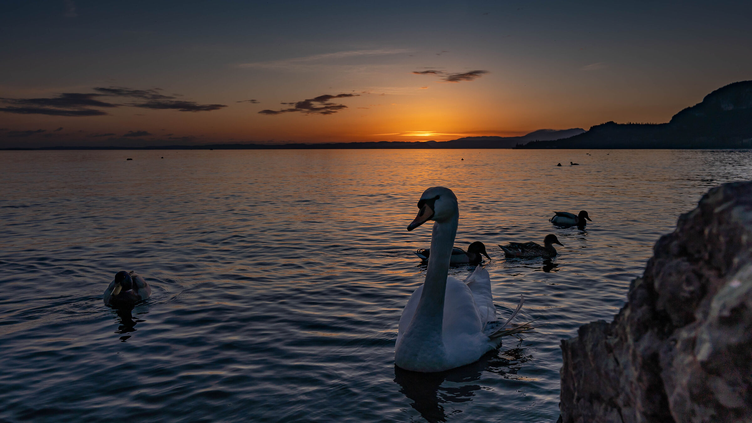 una famiglia al lago