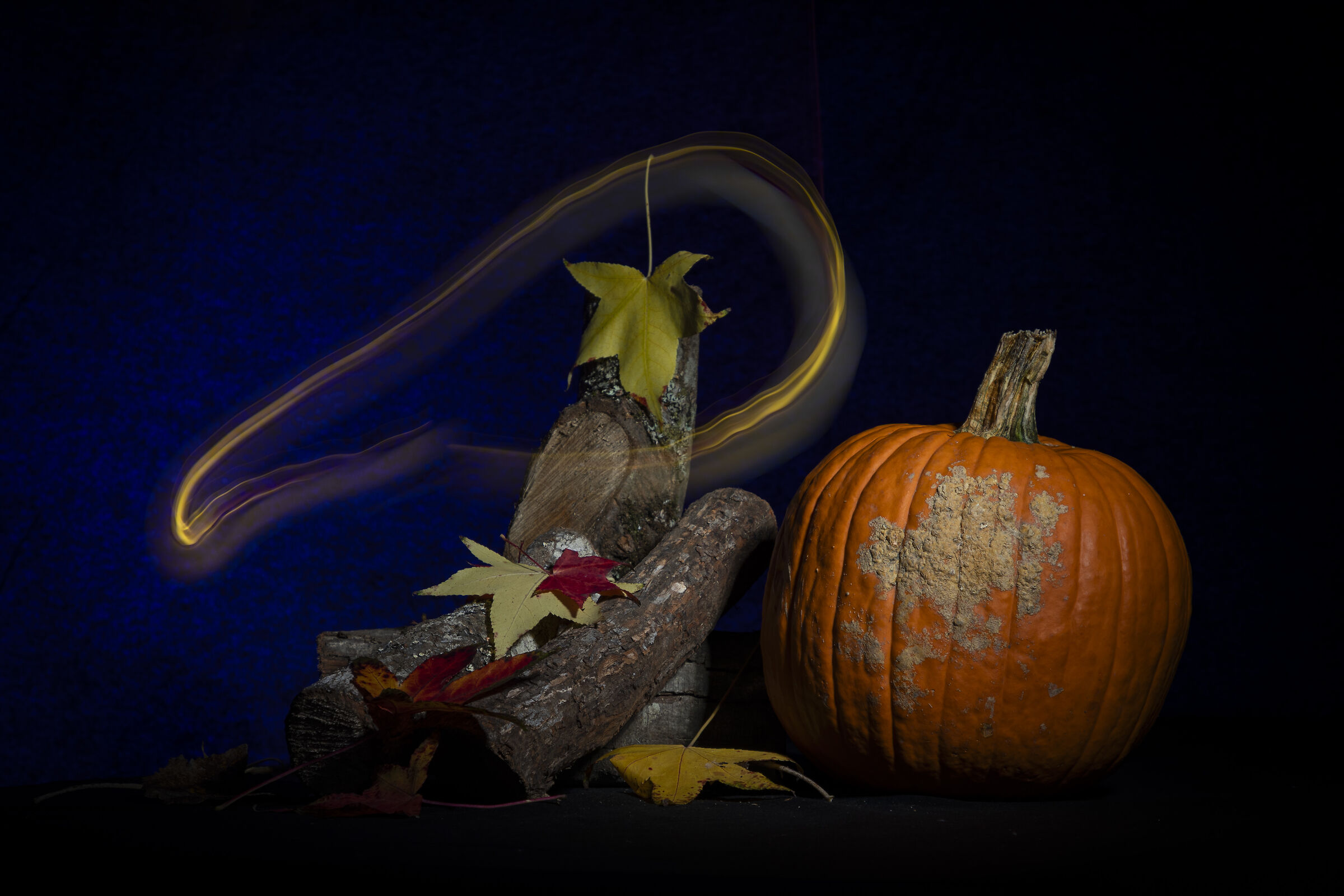 Still life autunnale con folletto.