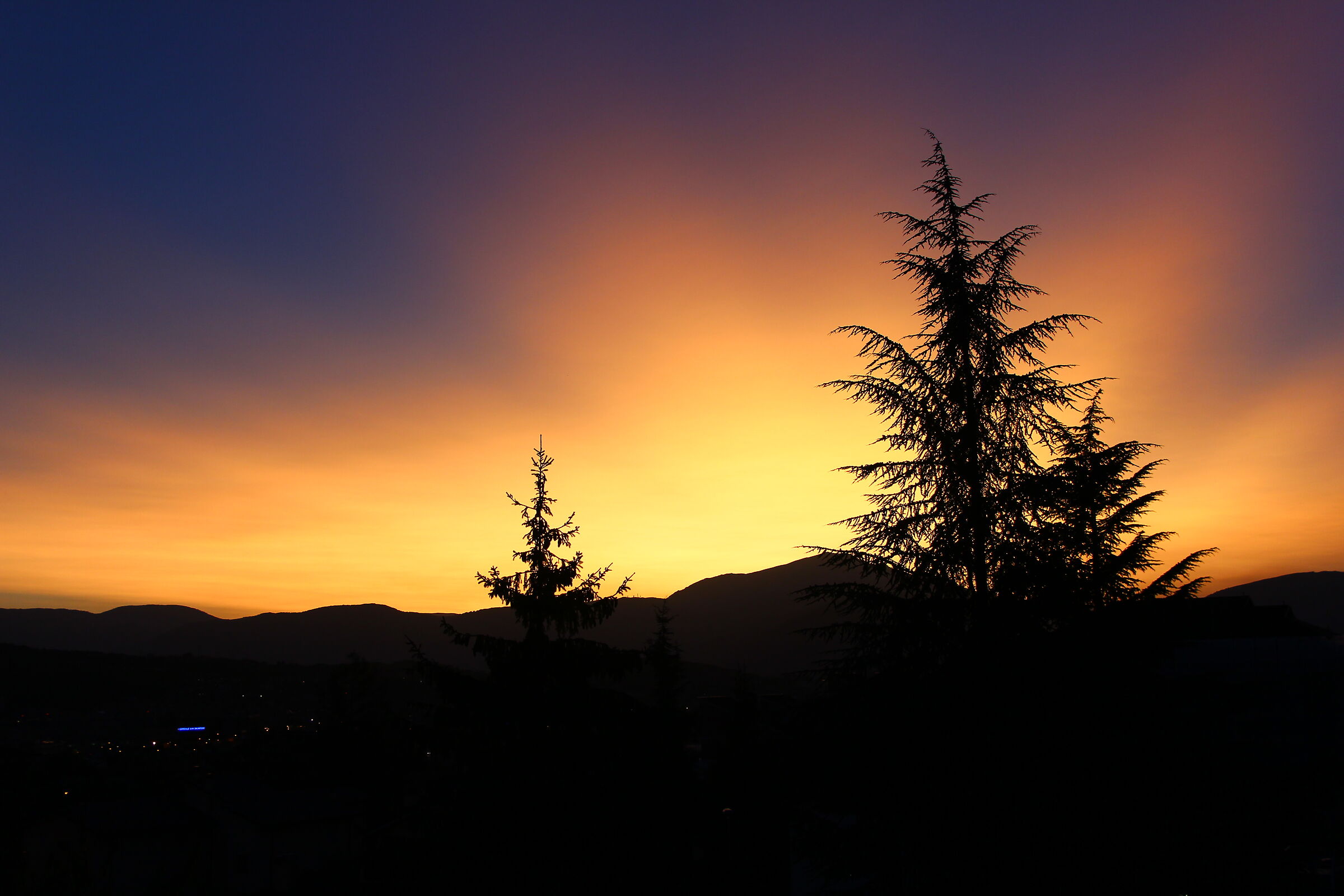 abeti al tramonto