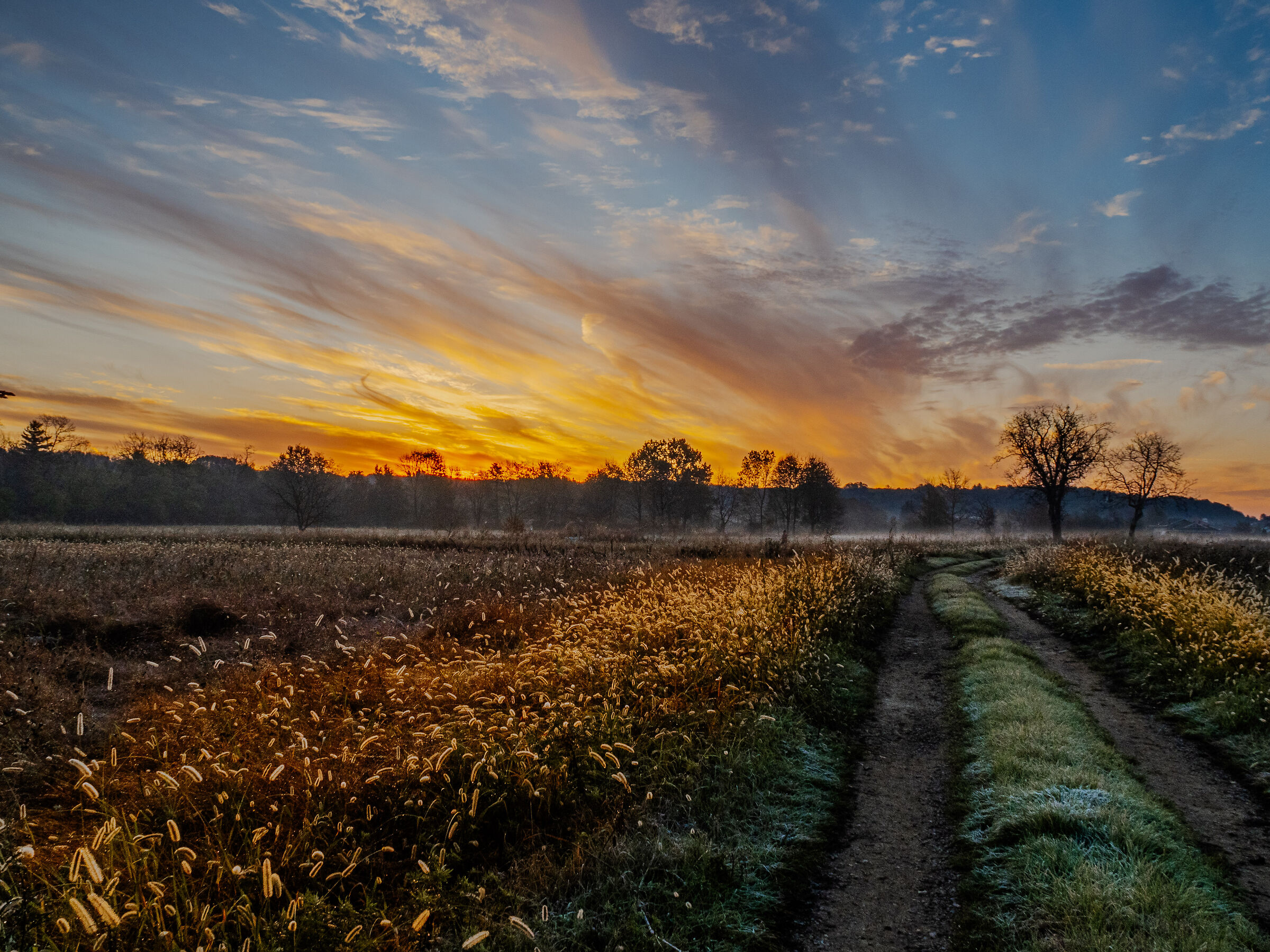 Giocando con le luci dell'alba