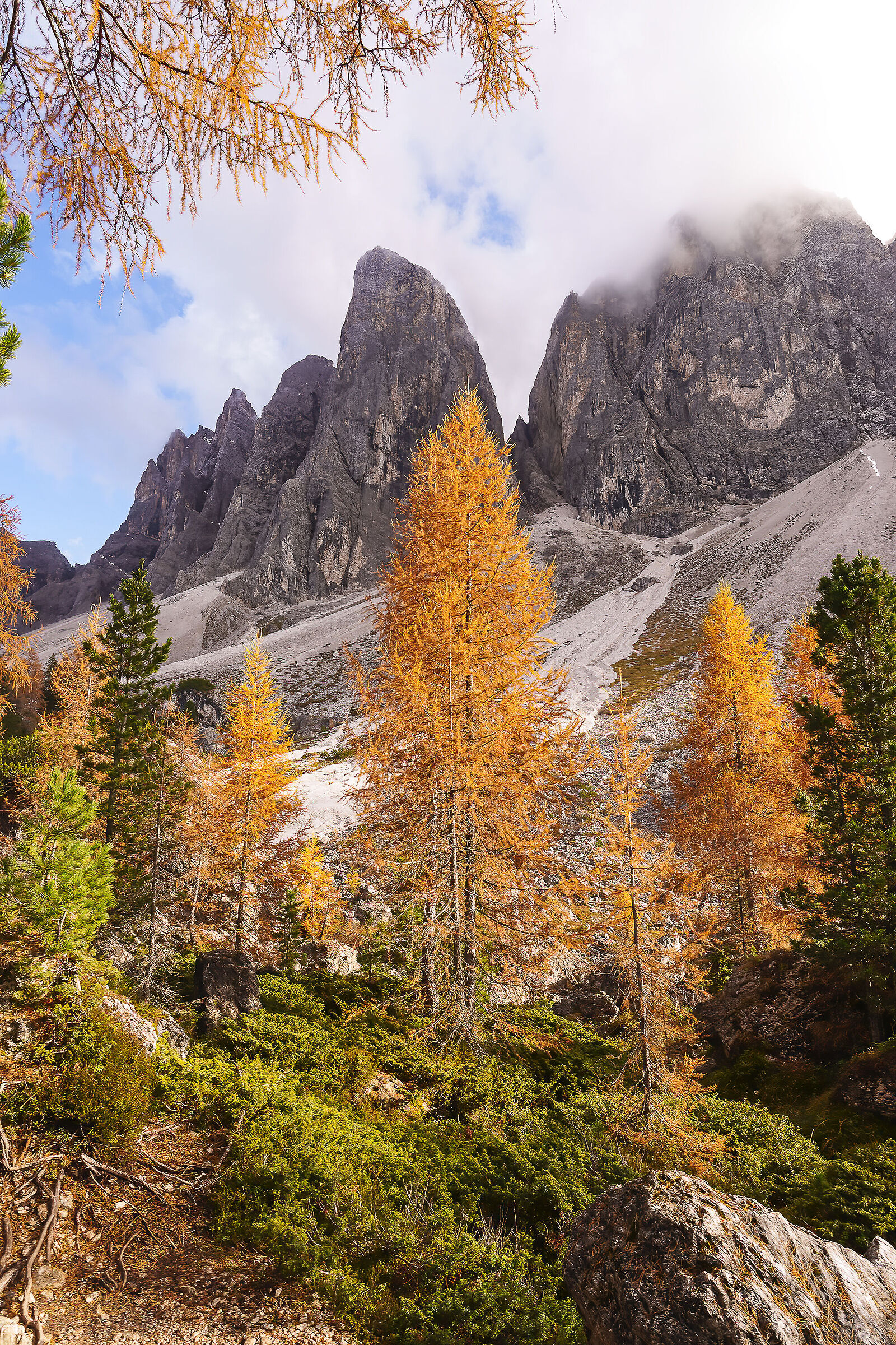 Autumn on the Geisler