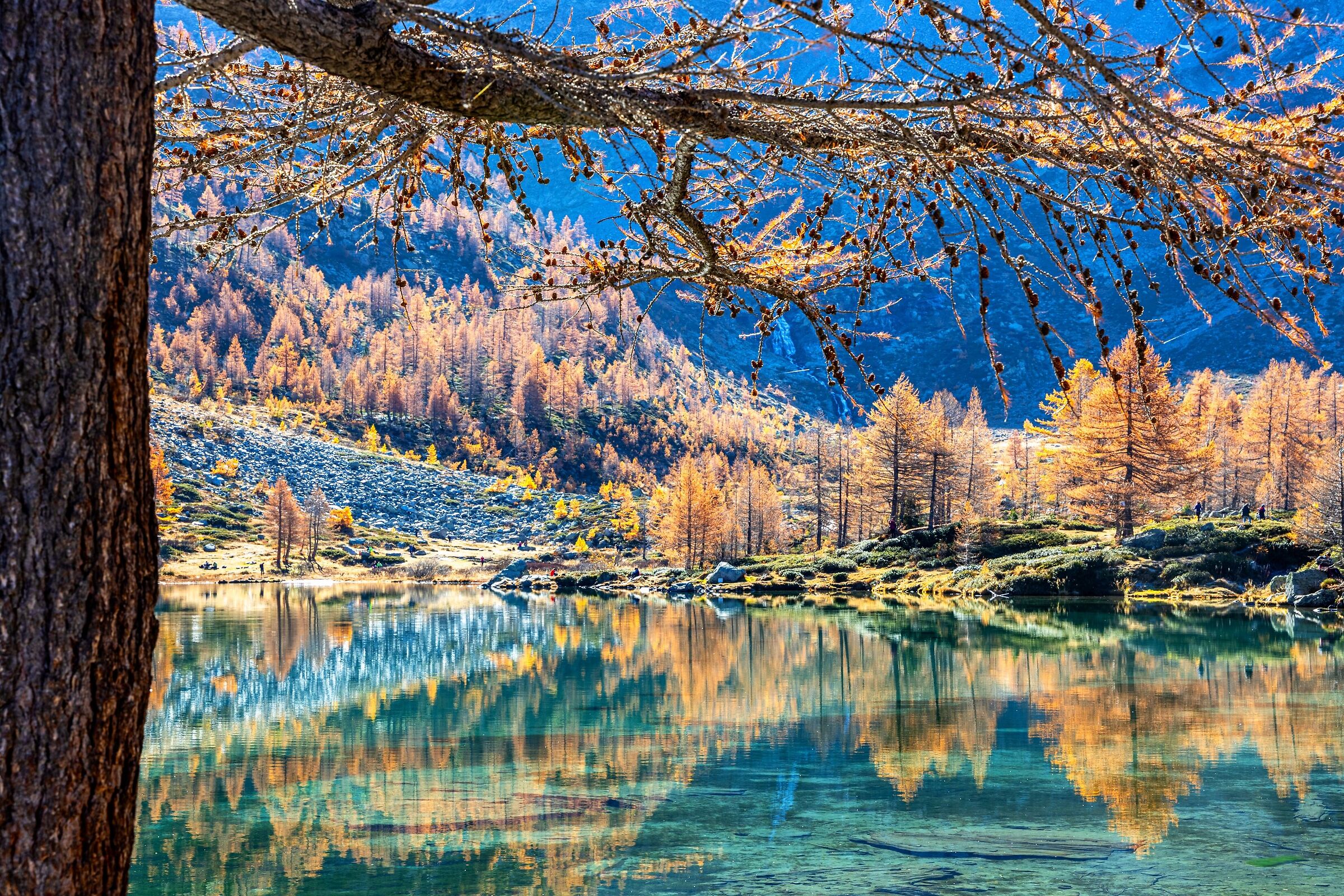 Autumn is approaching