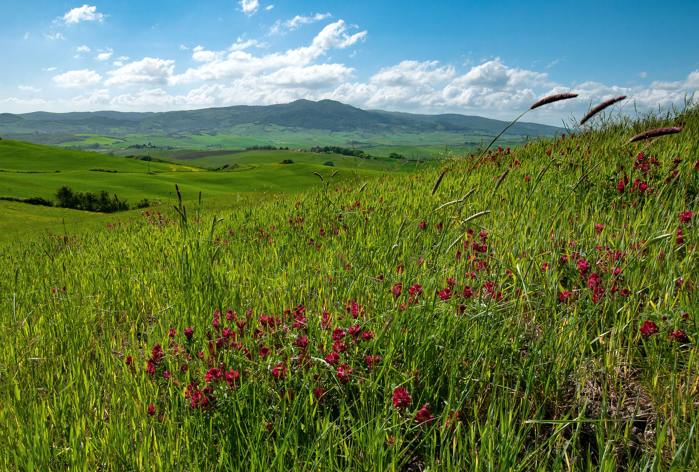 Campagna toscana