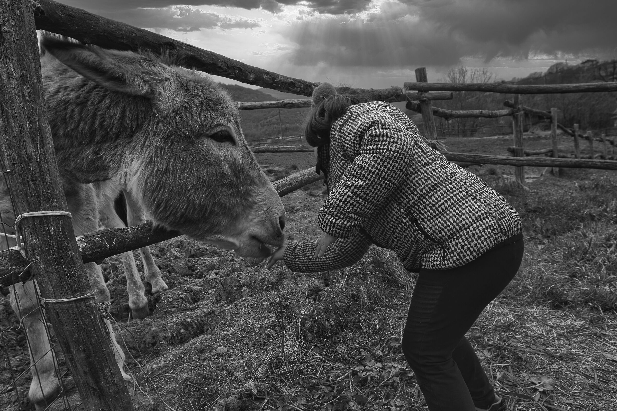 tender encounters...