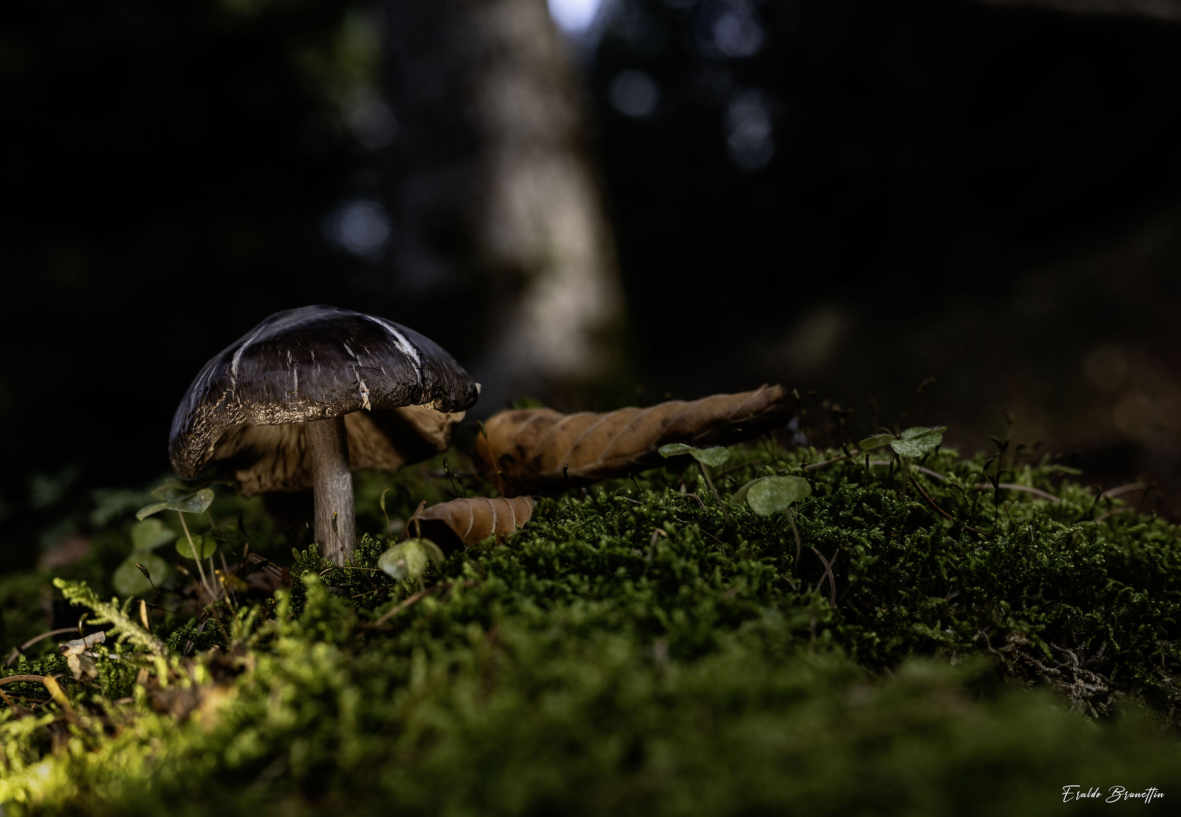 Untitled Photo