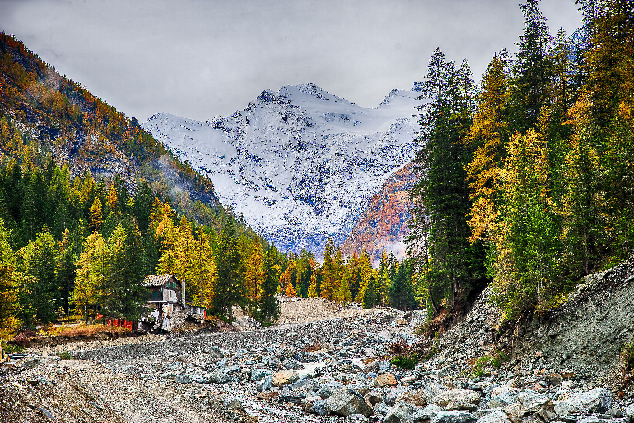 Autumn in Cogne. In the background the Gran Paradiso