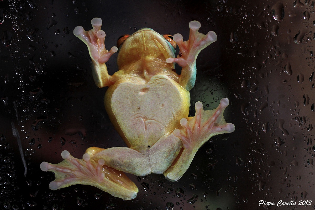 Below ... nothing ...