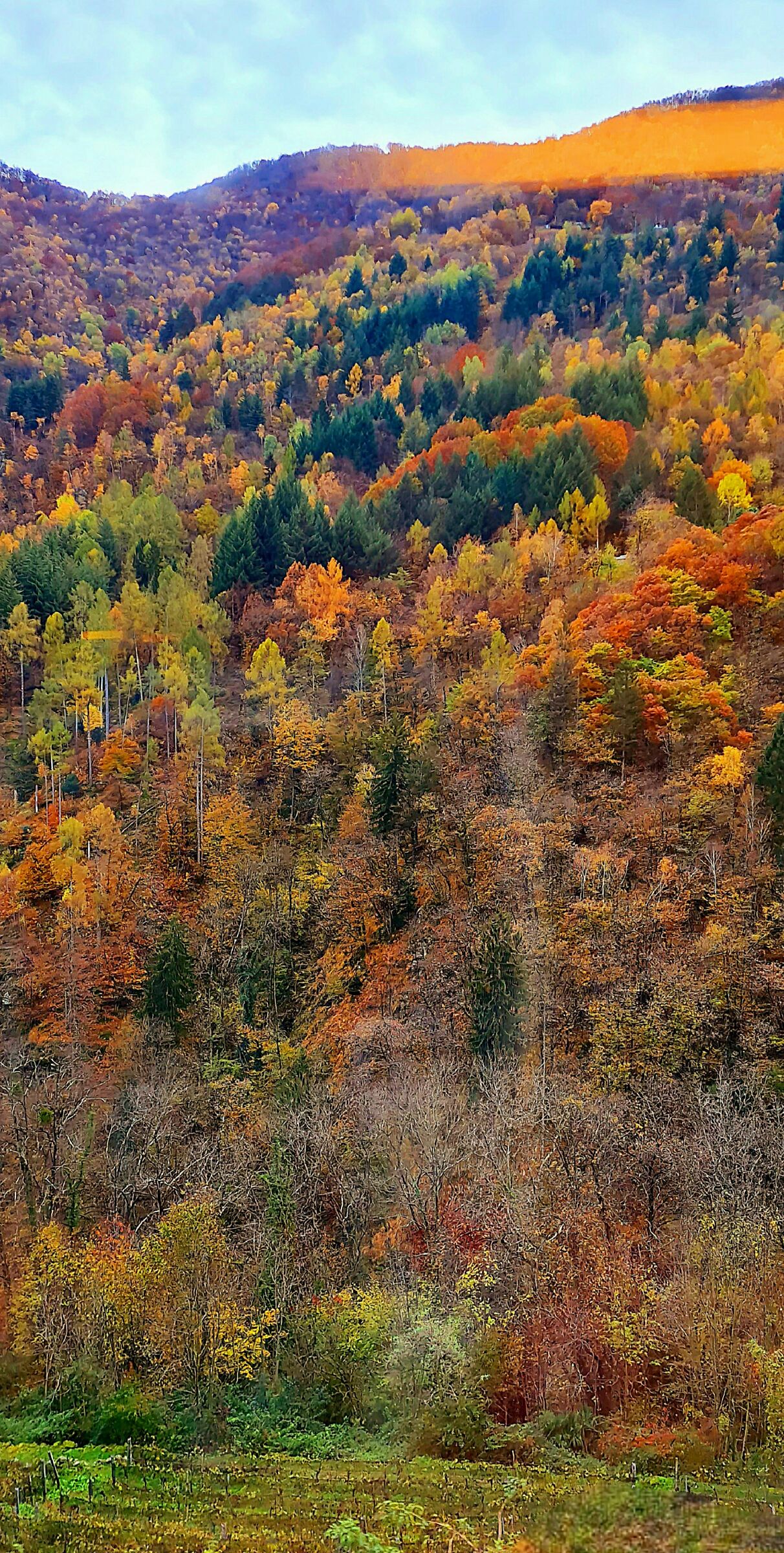 Macchie di autunno