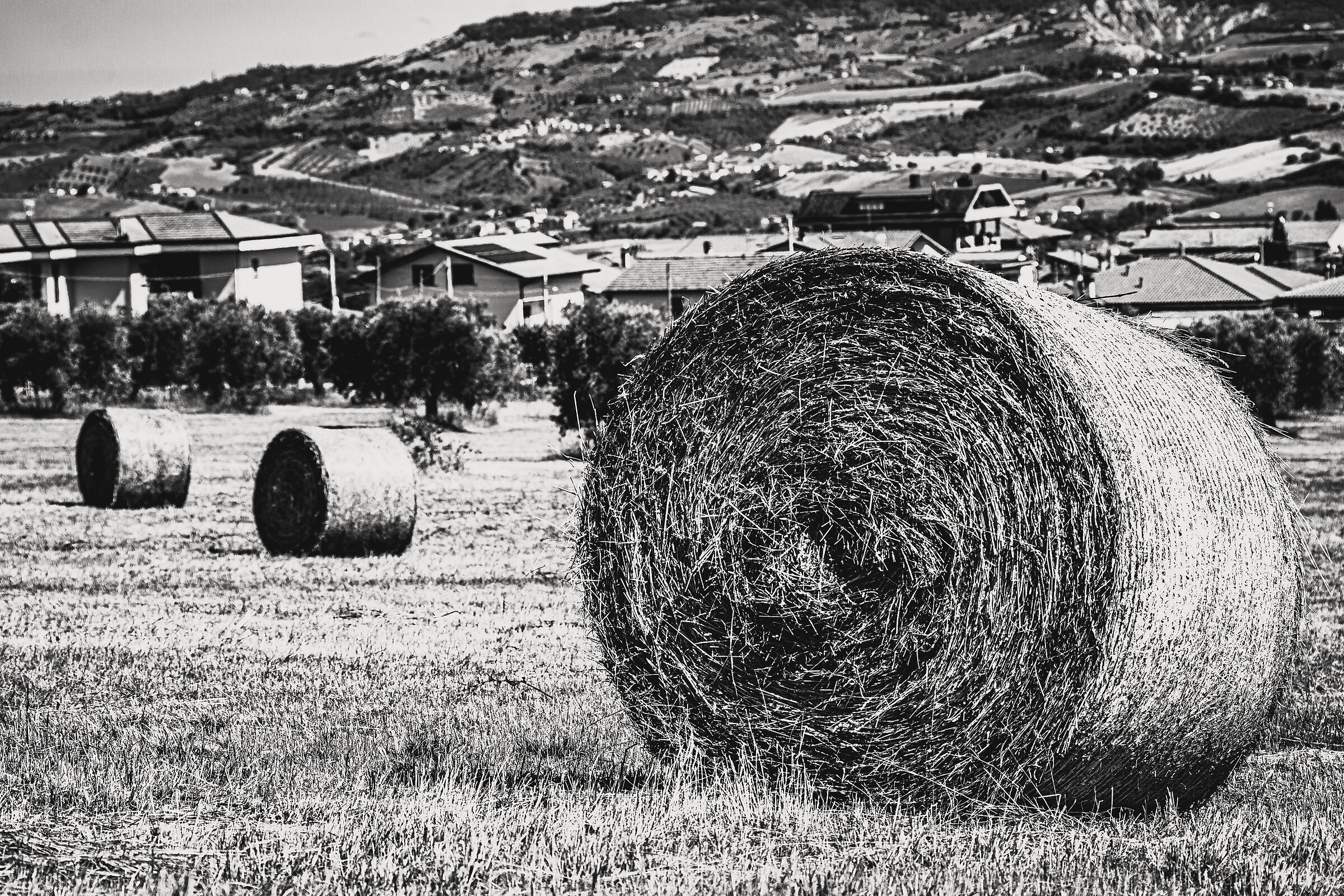Balle B&W
