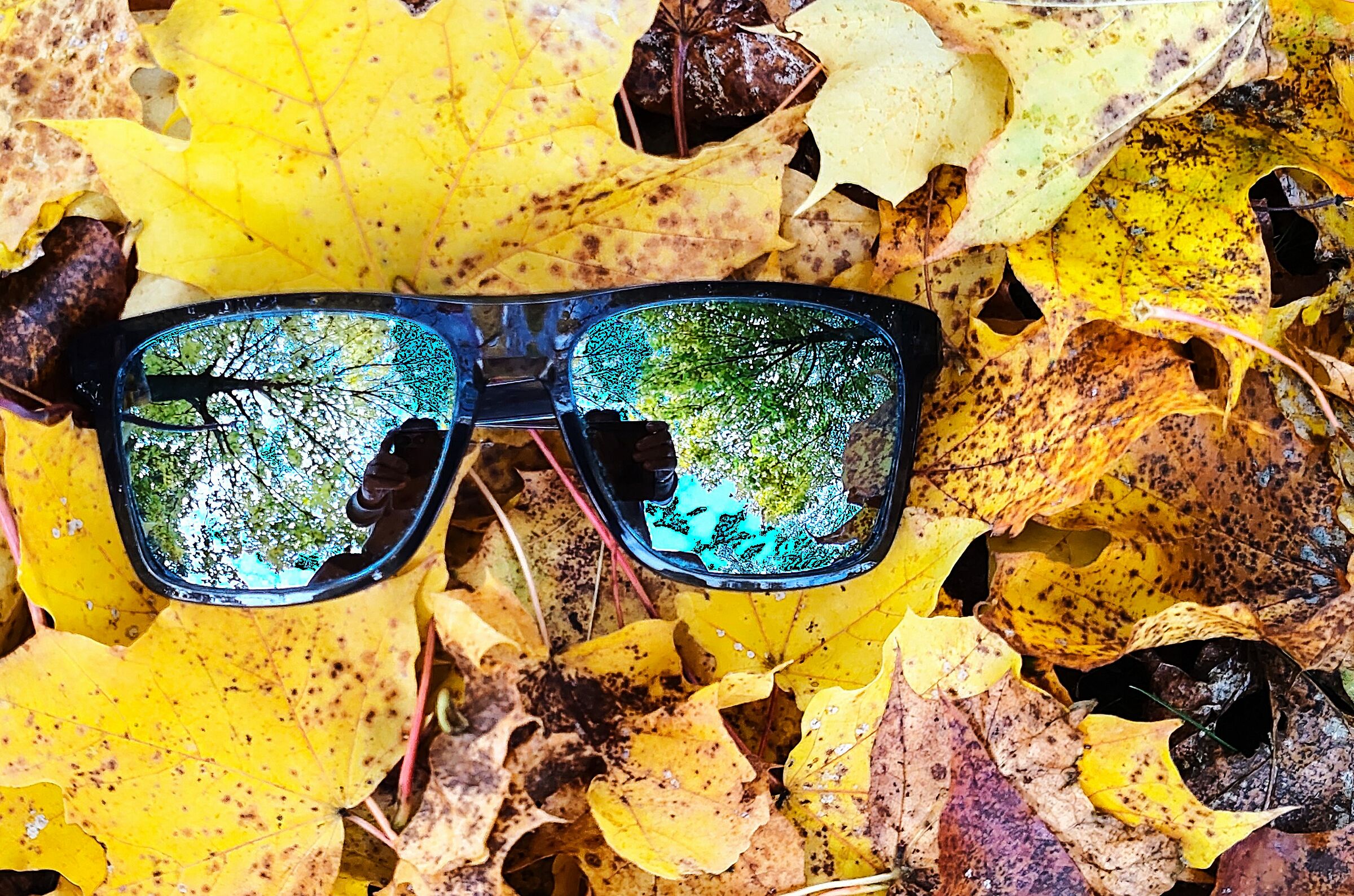 Bee, hai passato una bella estate?