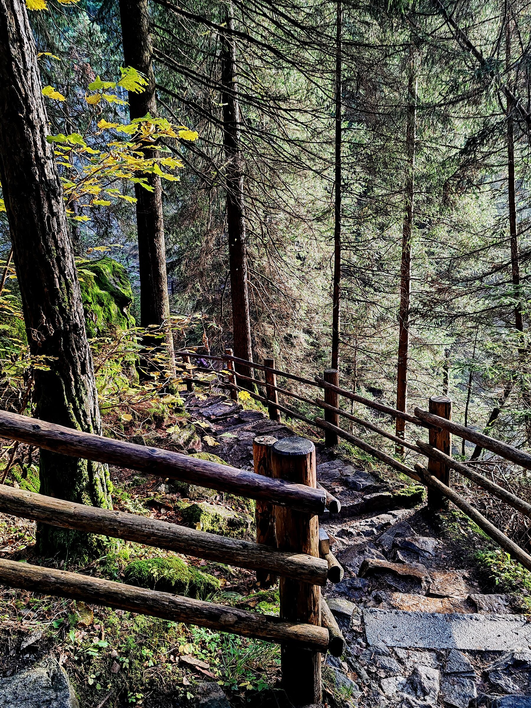 il sentiero che porta alla cascata.
