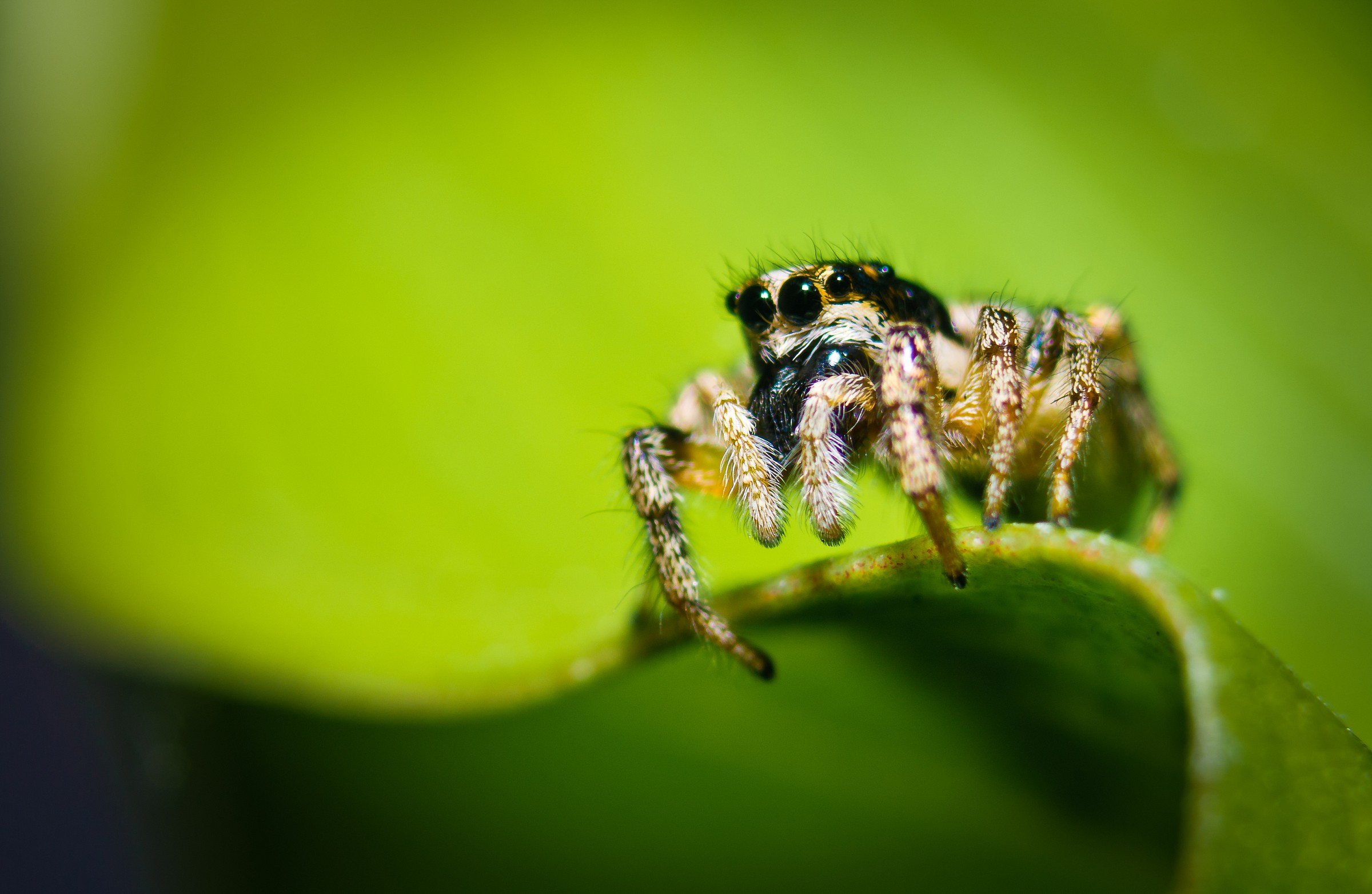 Guardando il precipizio