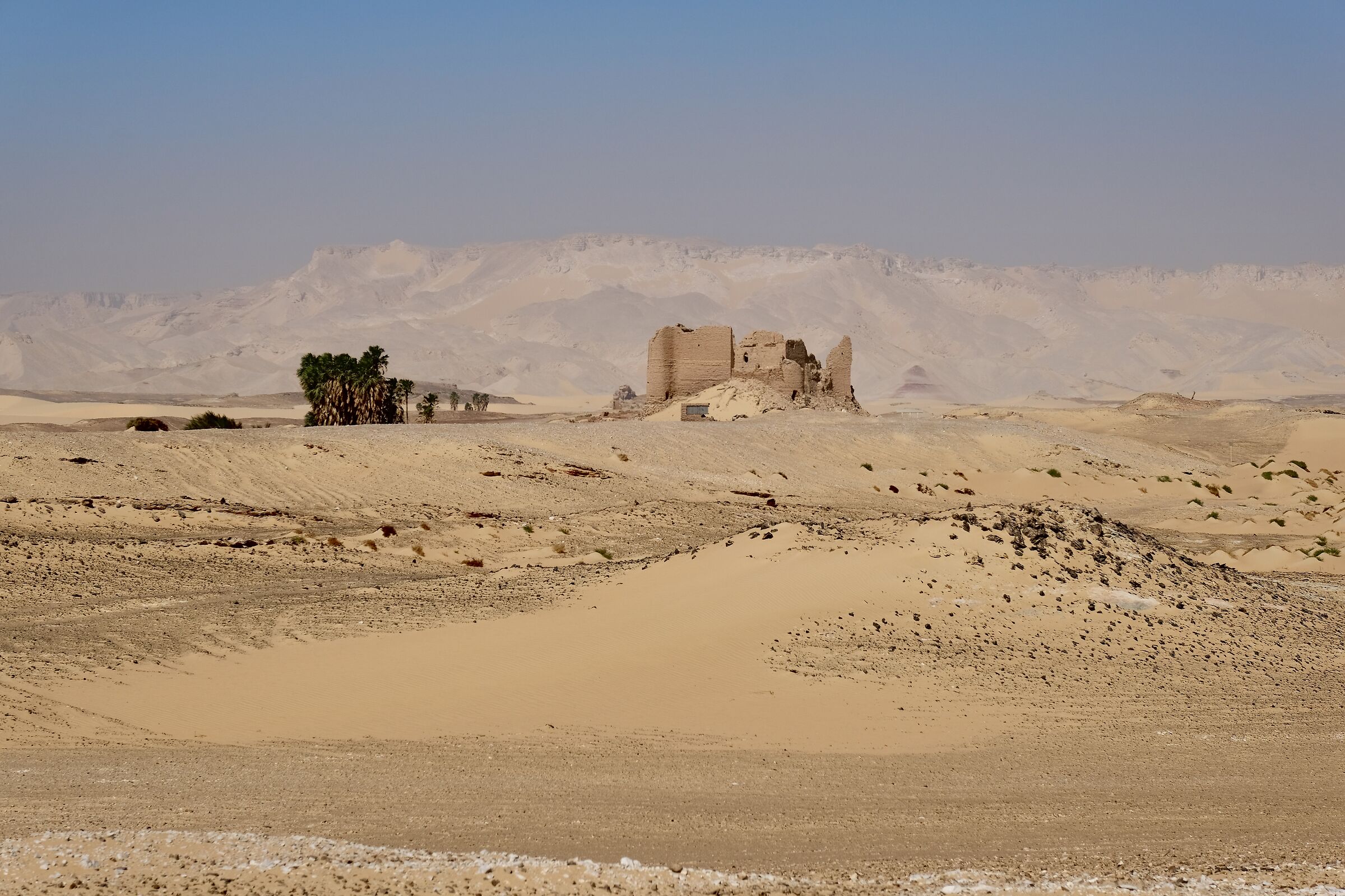 Western Oases of Egypt