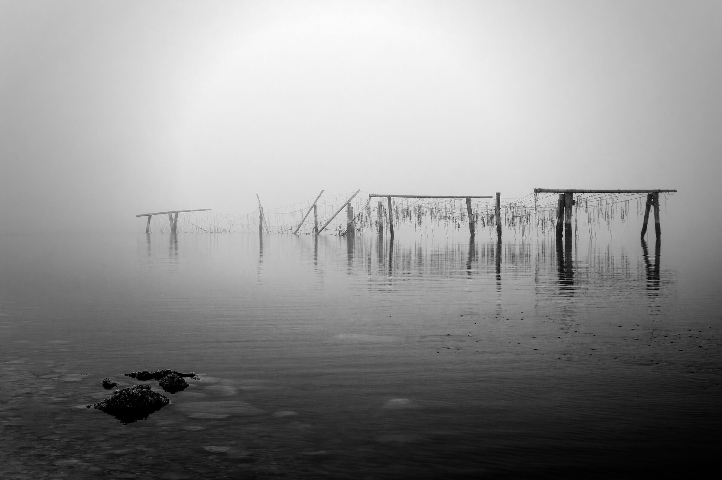 Sacca degli Scardovari - Infrared