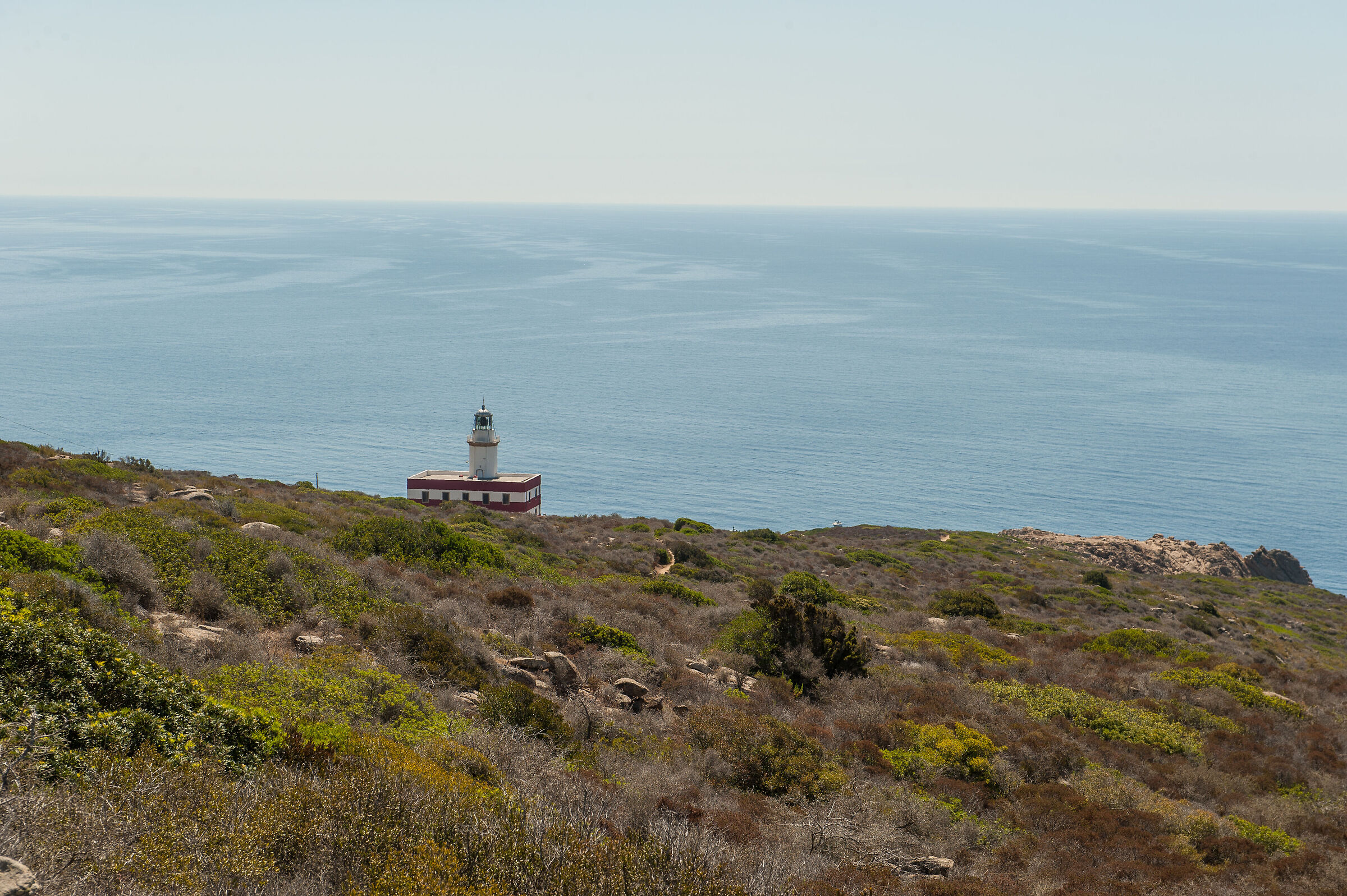 faro di capelli rosso