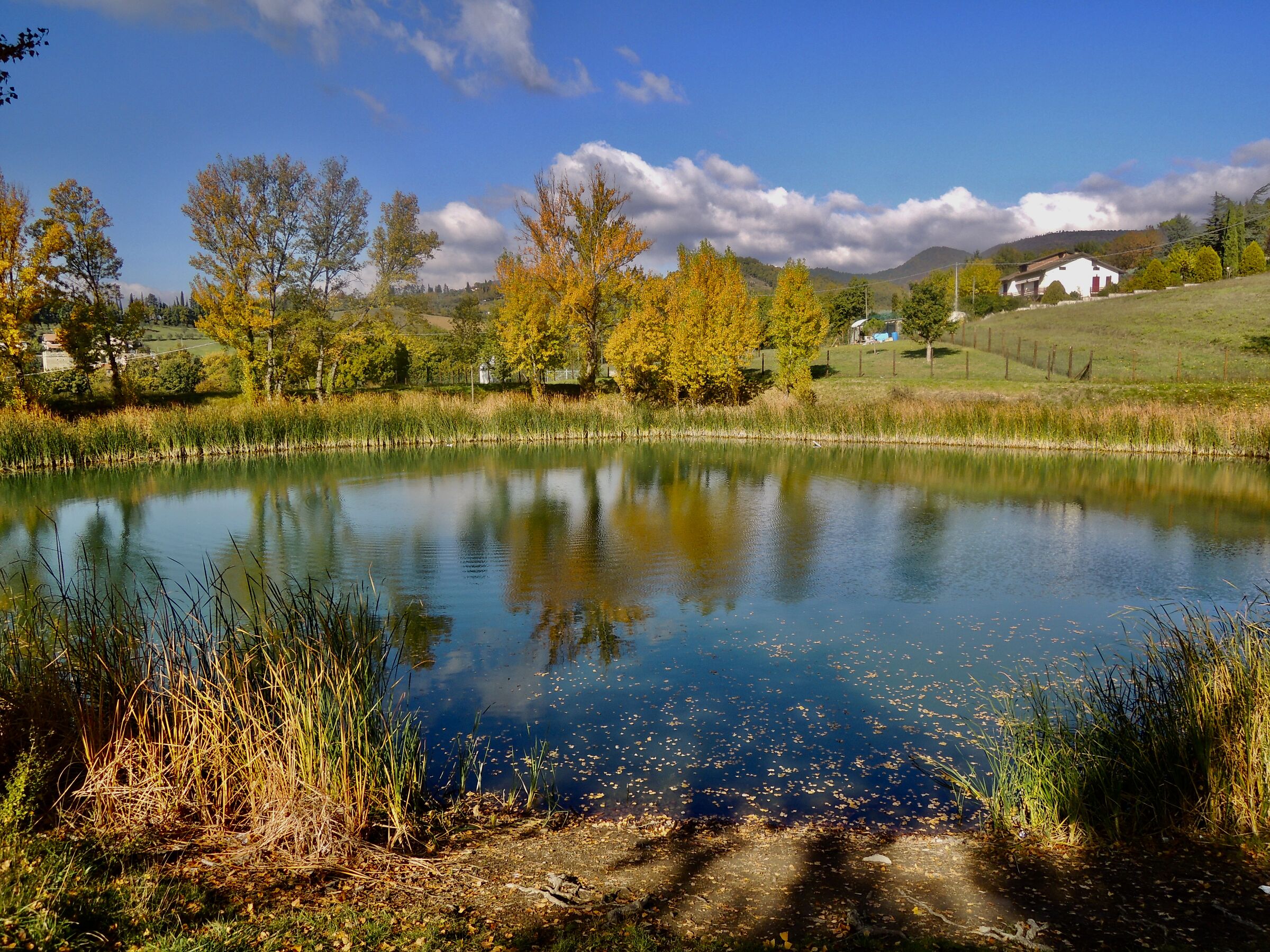 Il lago dorato.