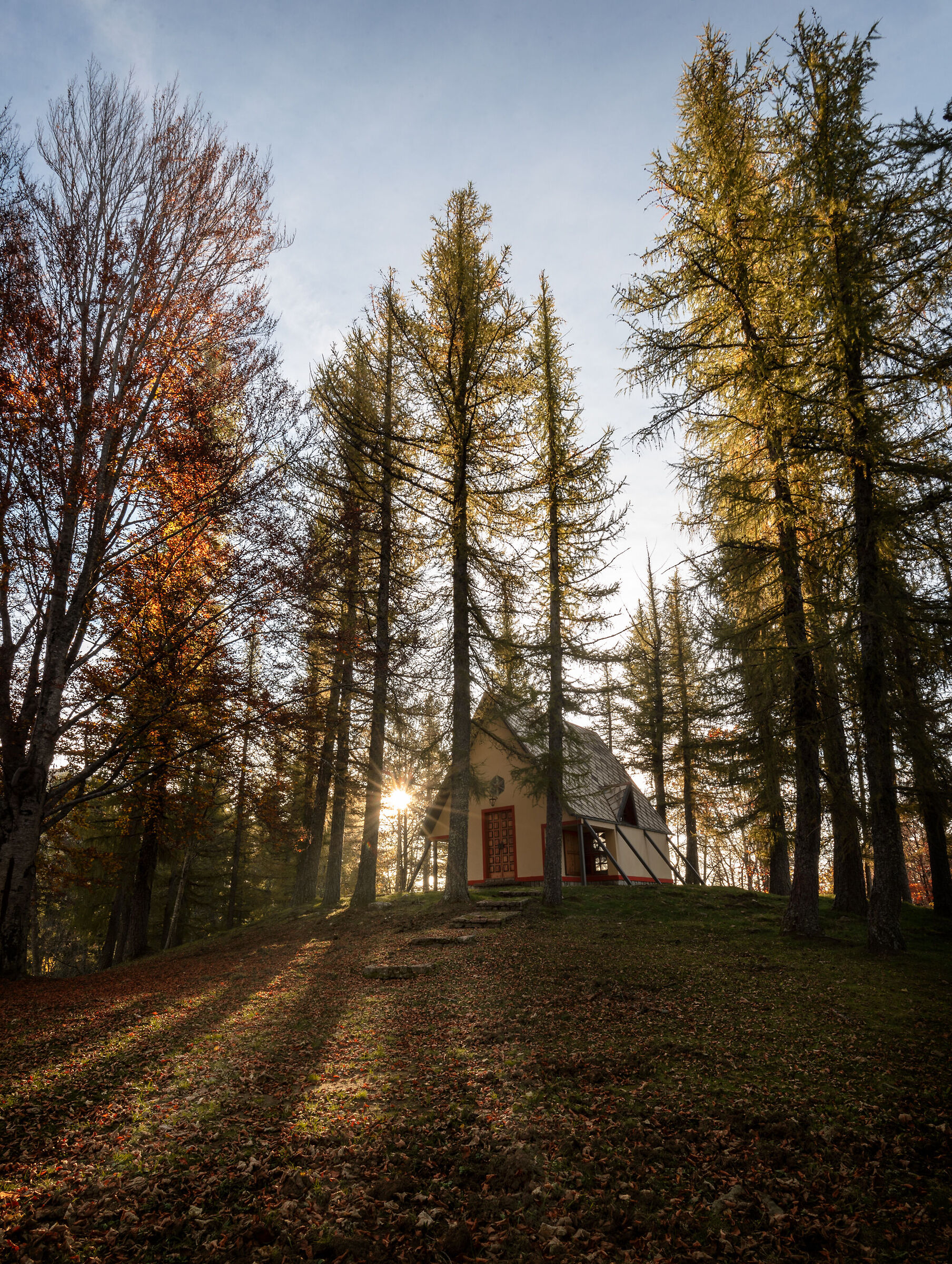 Orecchiella... magic park !!