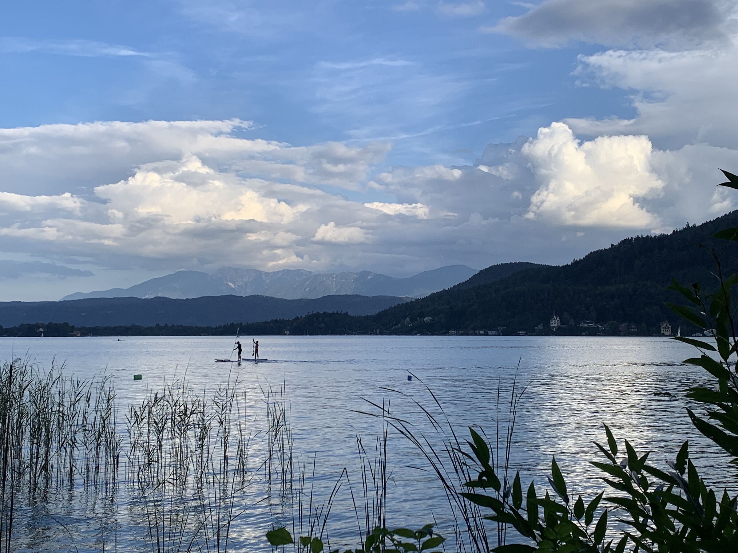 Shut up and swim, shut up and swim