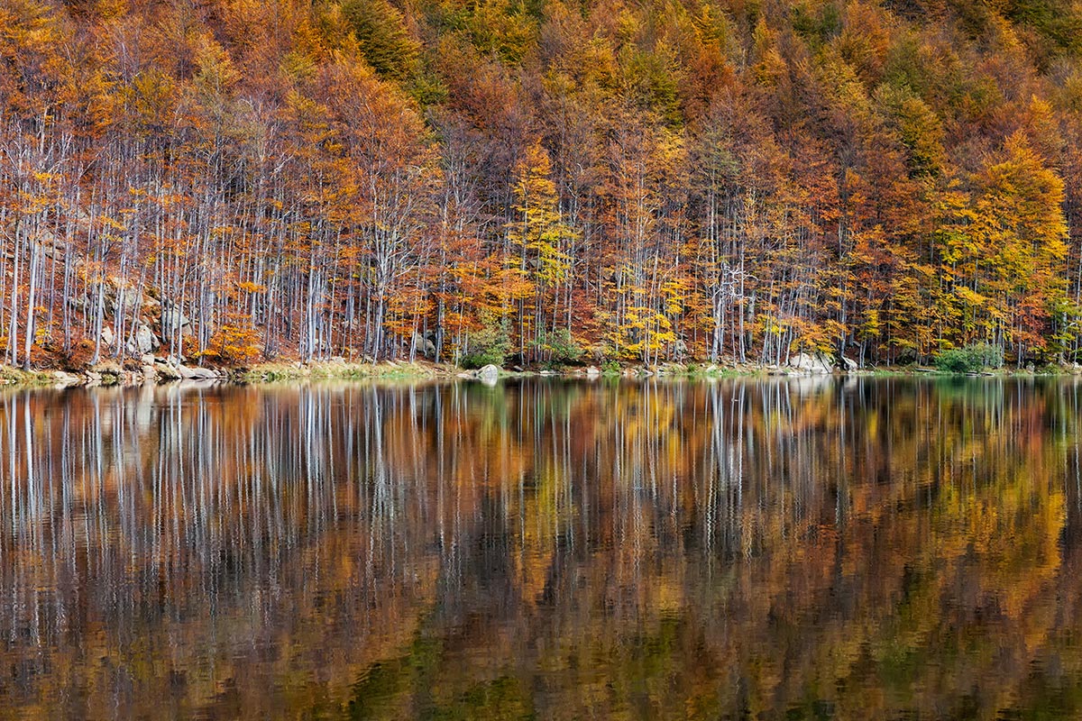 La mia "semplicità"
