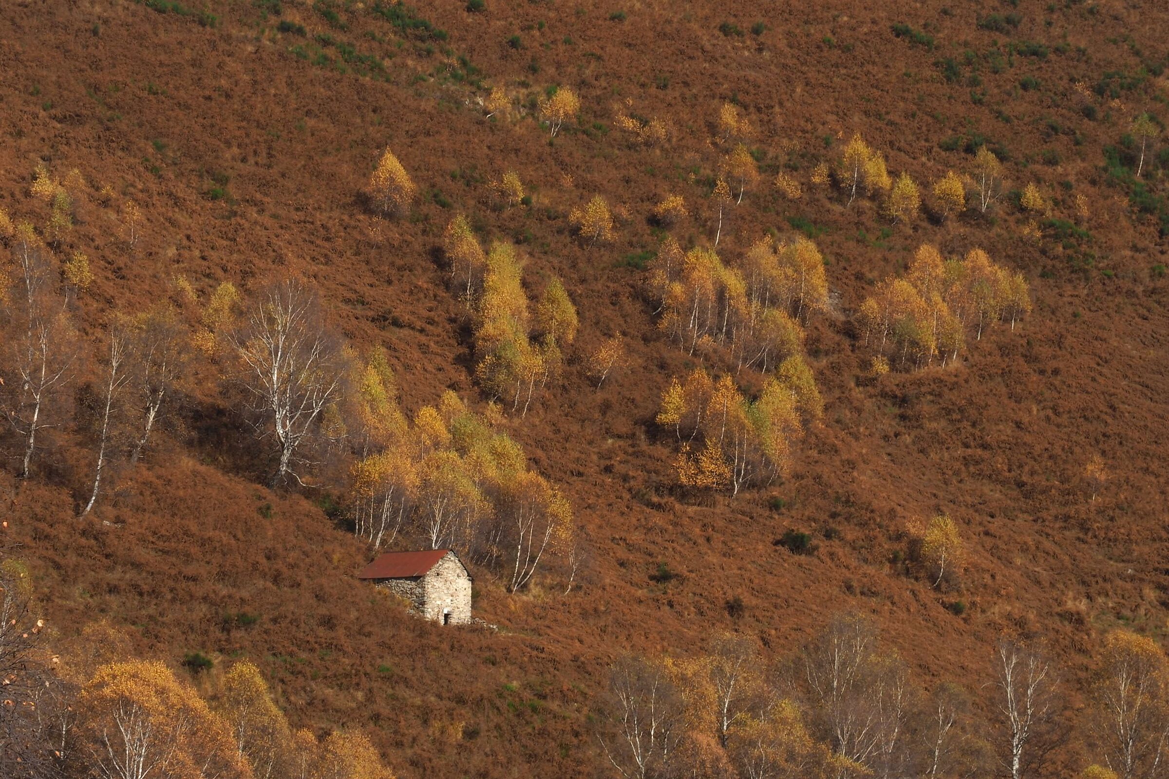 autumn