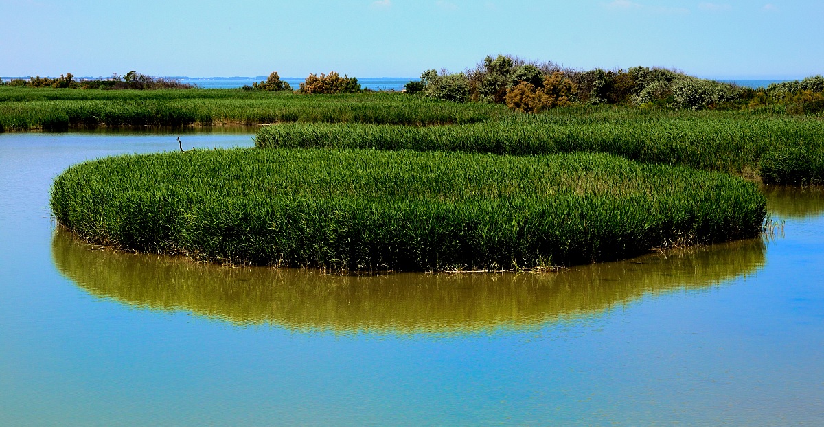 Parco del Delta del Po - Boccasette