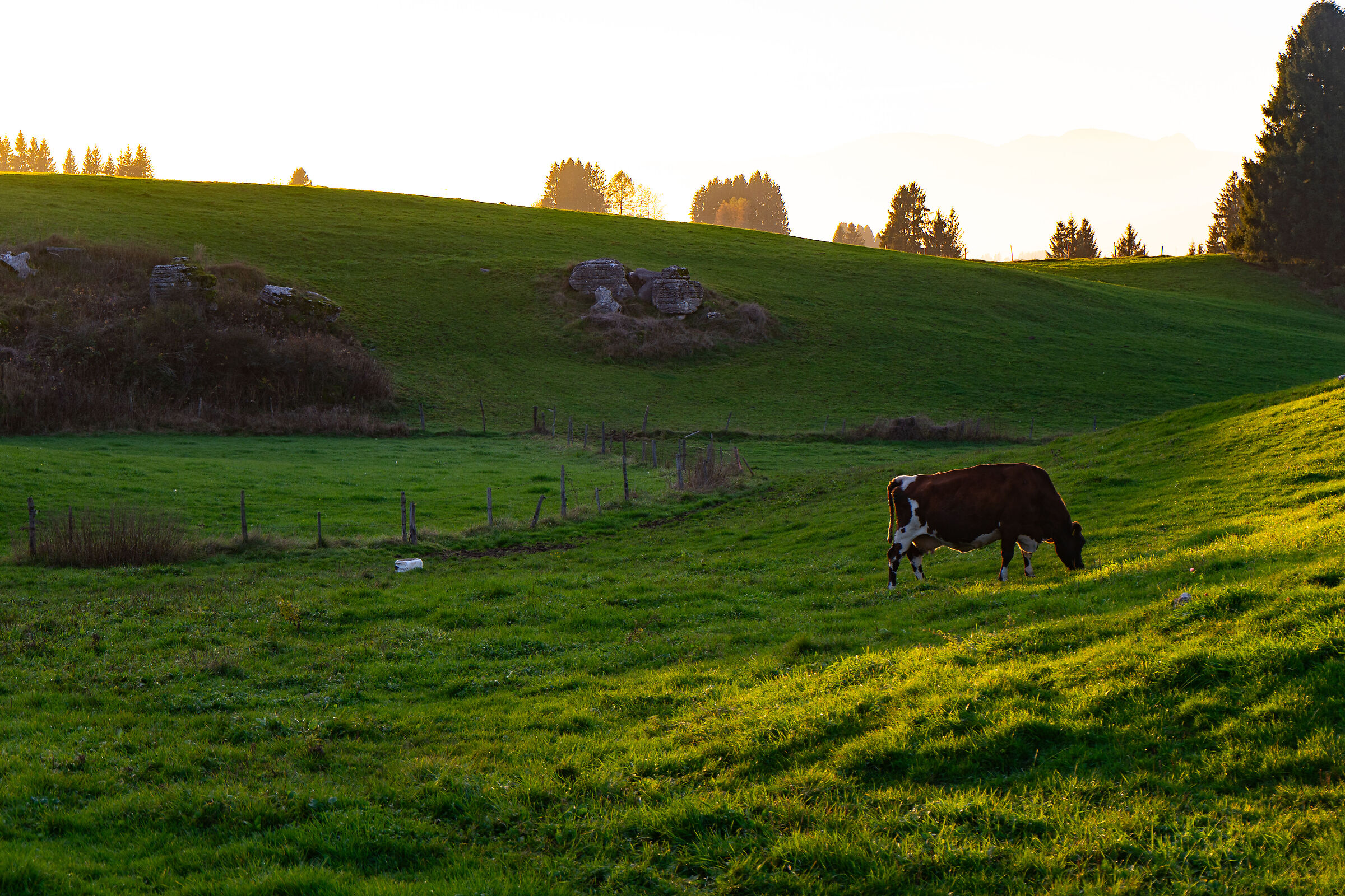 Altopiano di Asiago