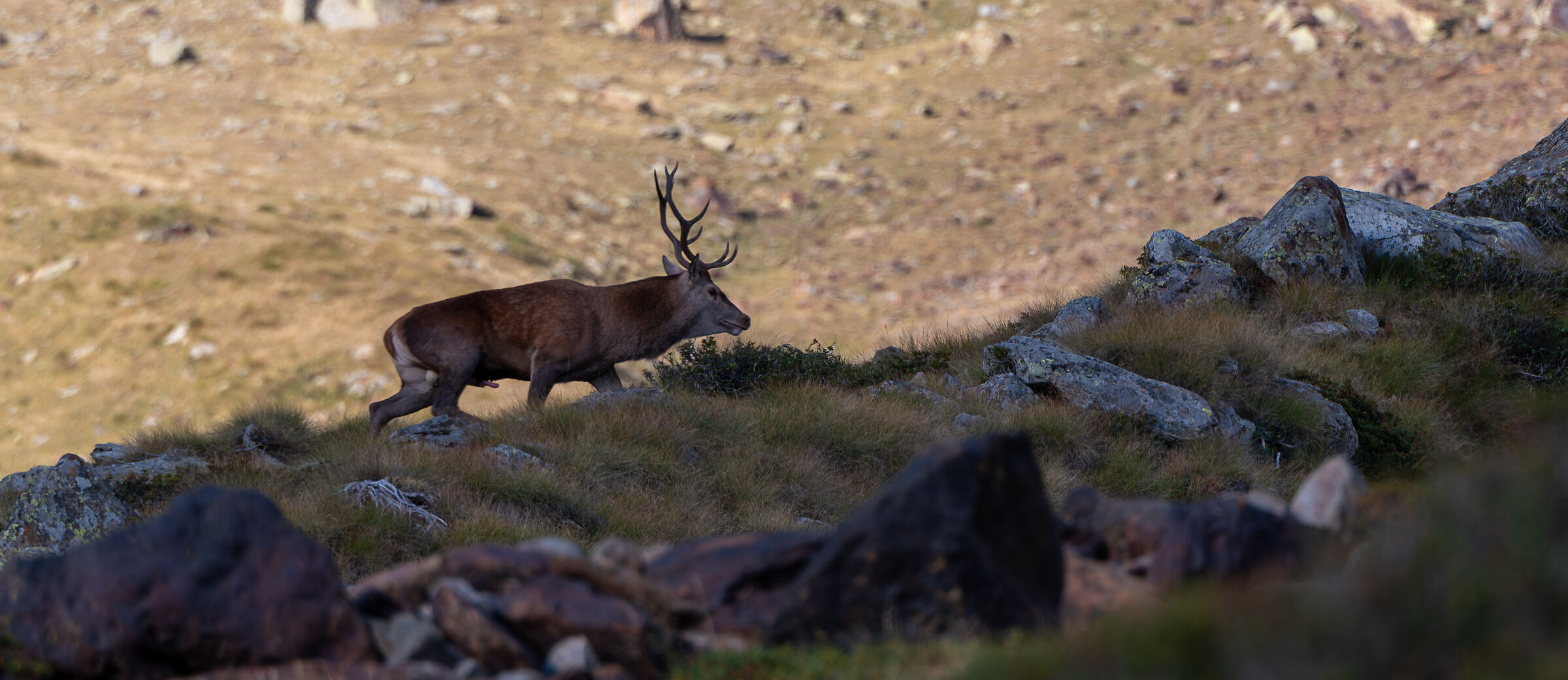 Quando l`amore fa brutti scherzi