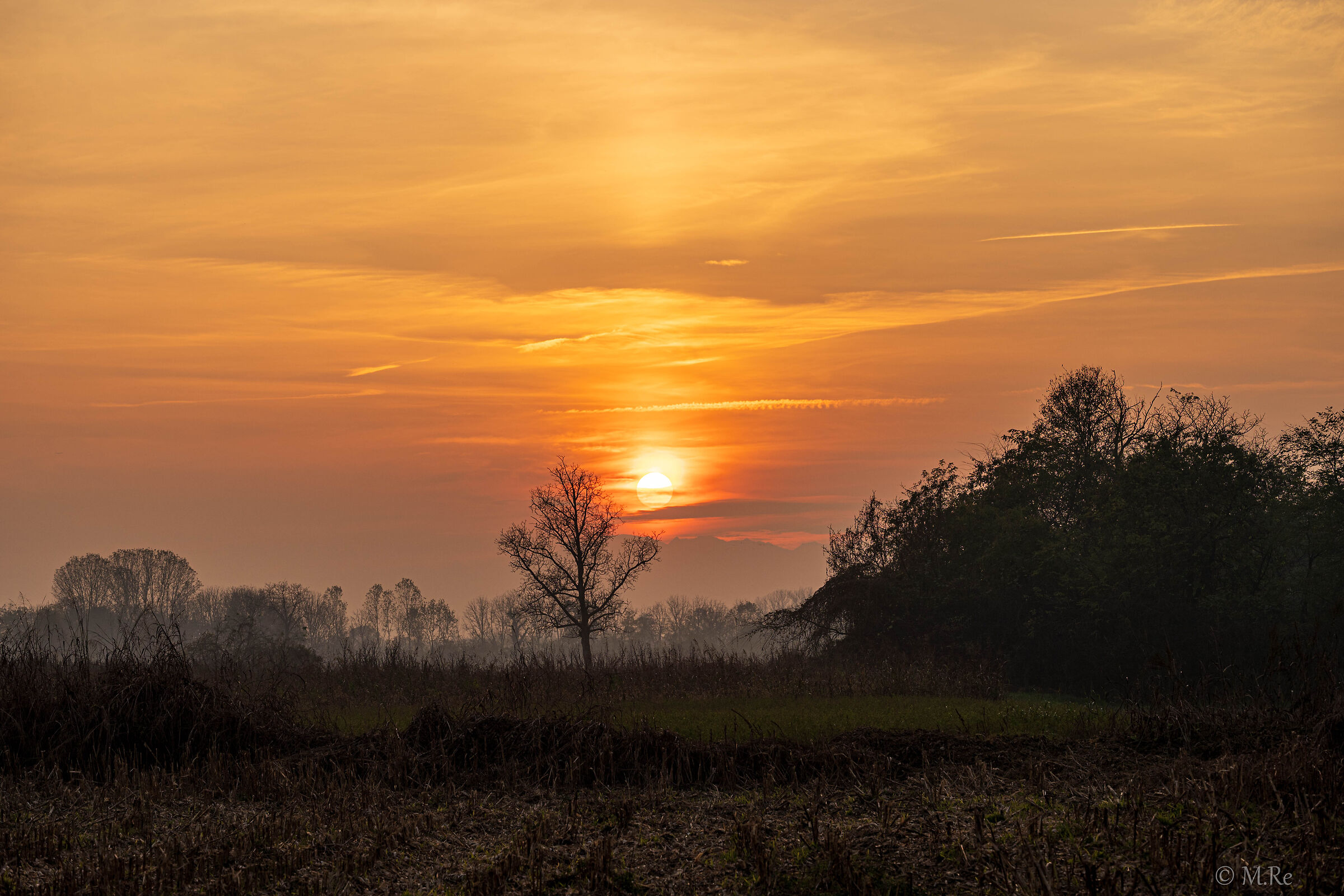 sunset in the fields