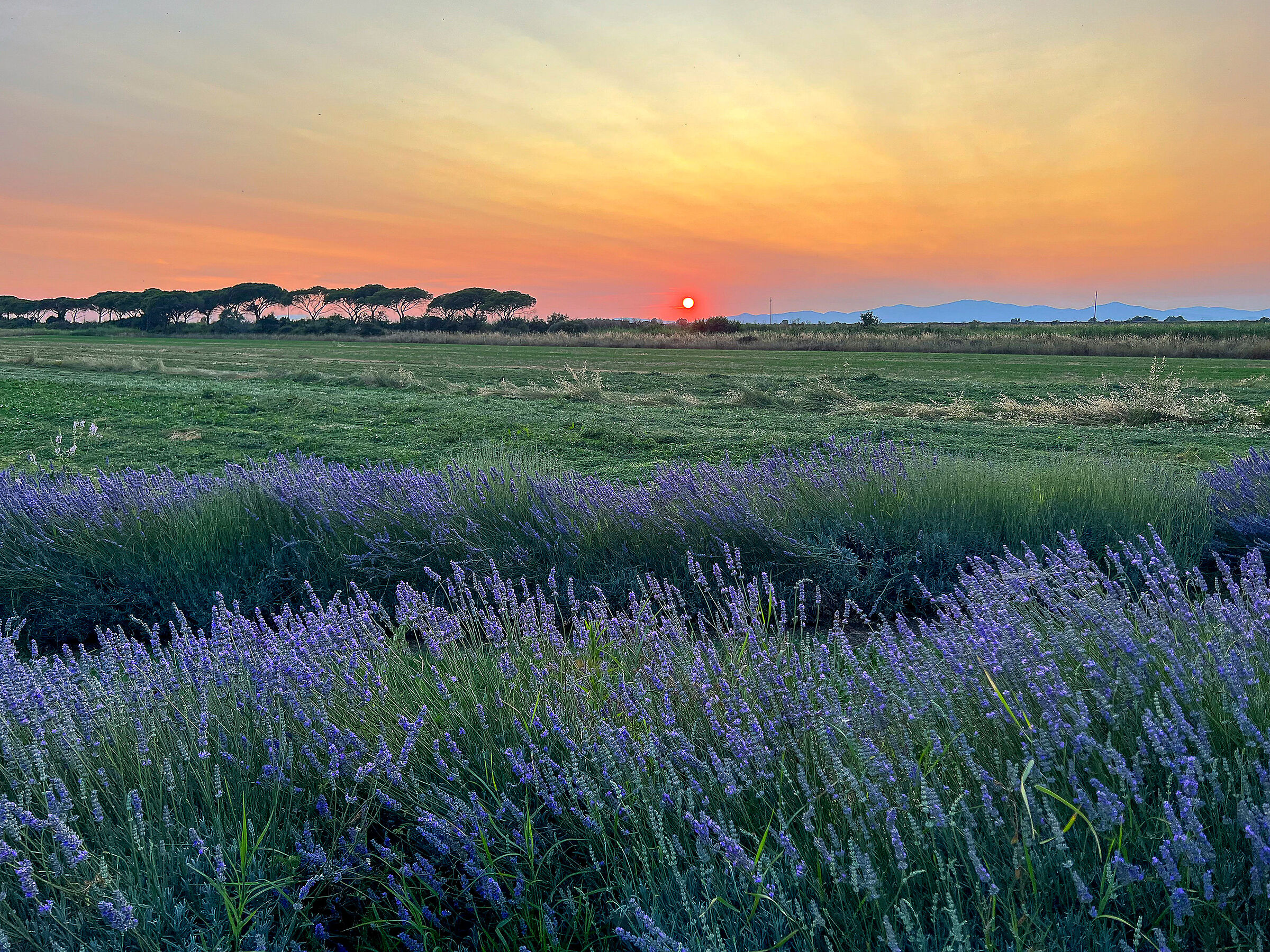 Parco dell'Uccellina 06